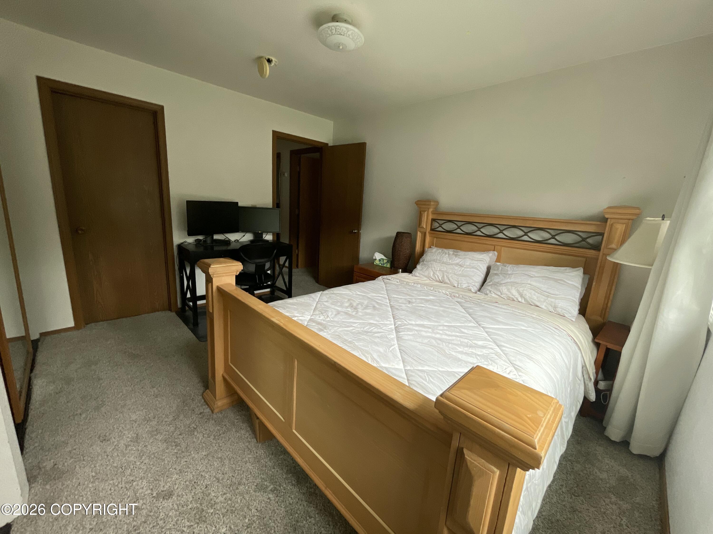 3907 Lunar Drive Property Photo 19