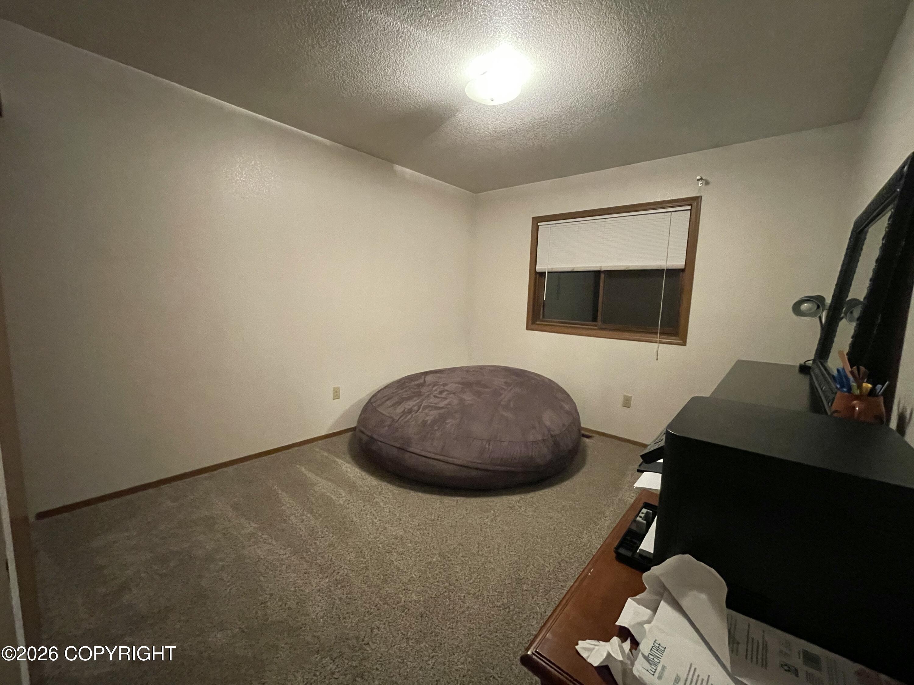 3907 Lunar Drive Property Photo 21