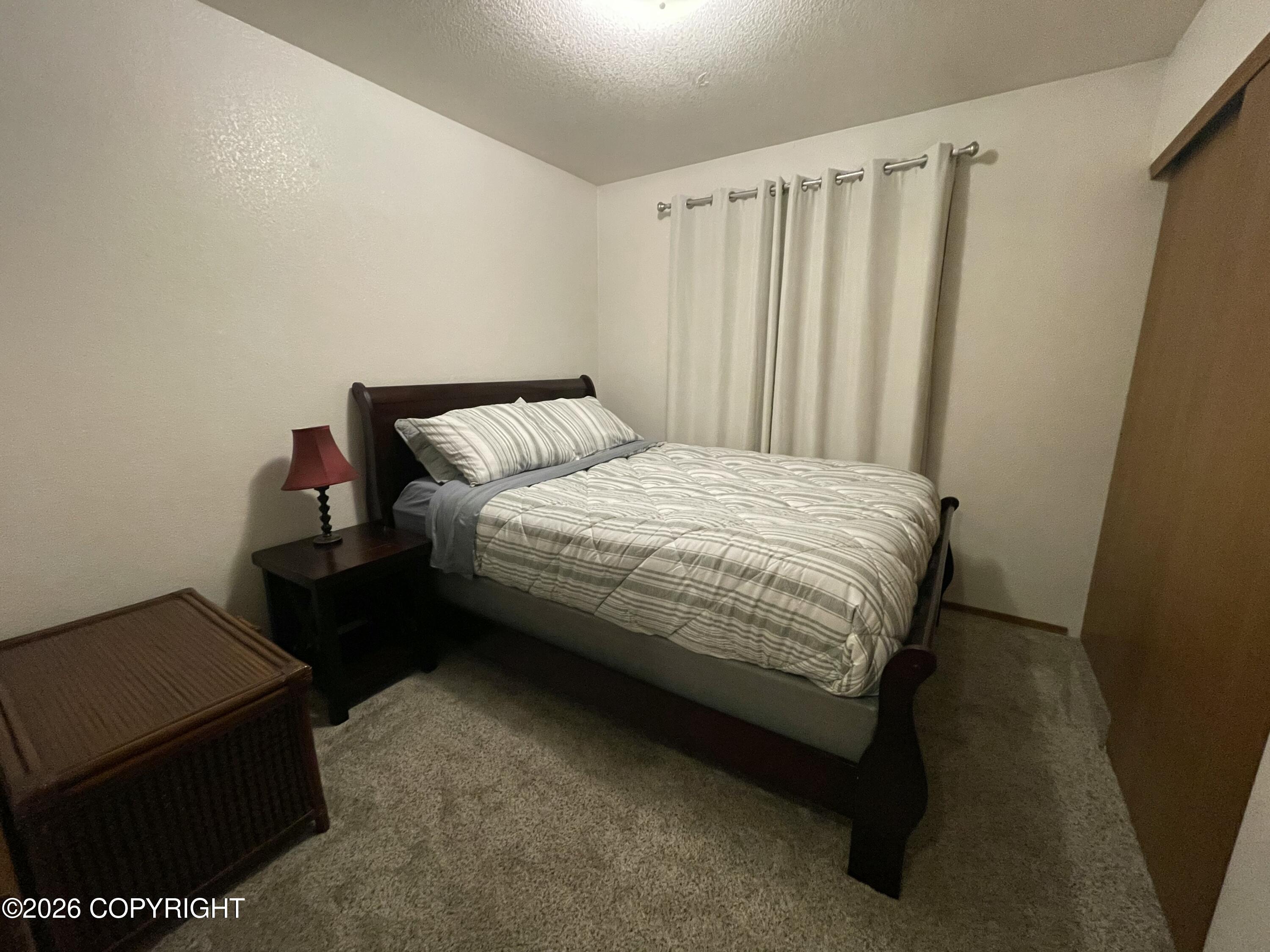 3907 Lunar Drive Property Photo 22