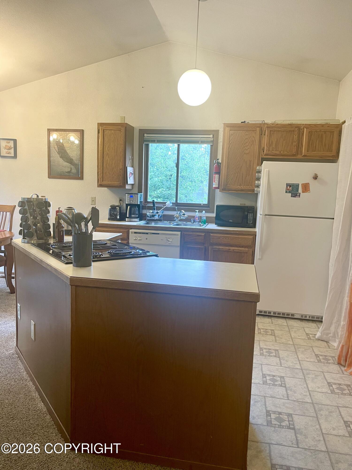 3907 Lunar Drive Property Photo 29
