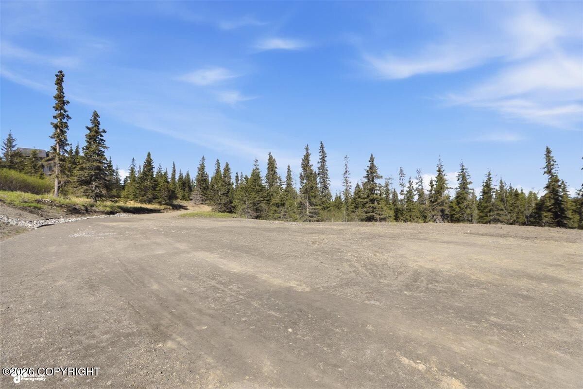 L2 Prospector Creek Property Photo 4