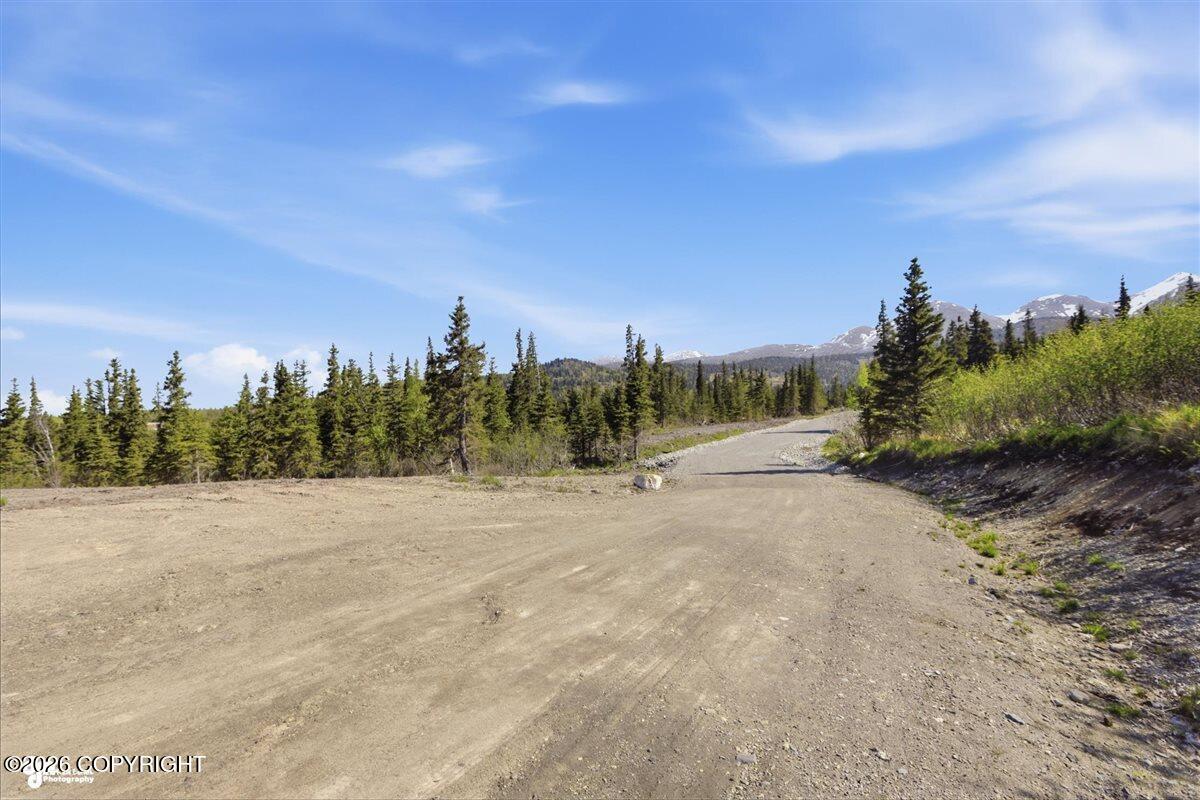 L2 Prospector Creek Property Photo 5