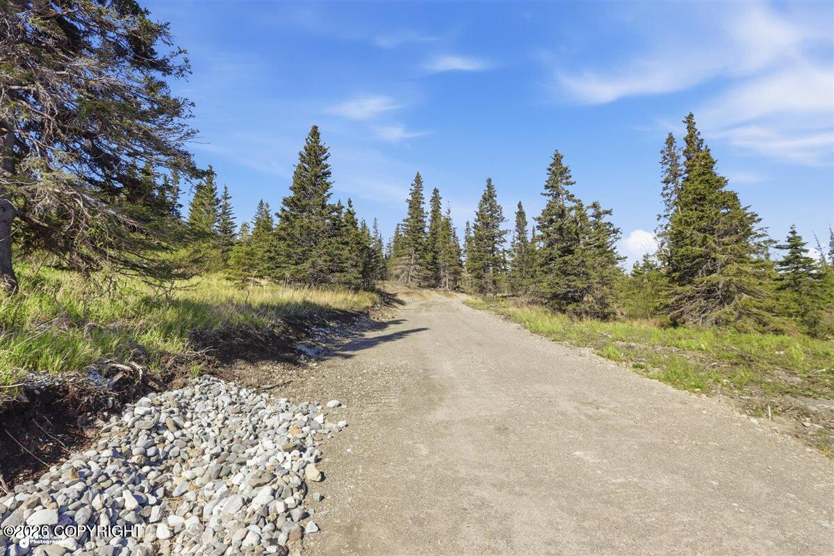 L2 Prospector Creek Property Photo 6