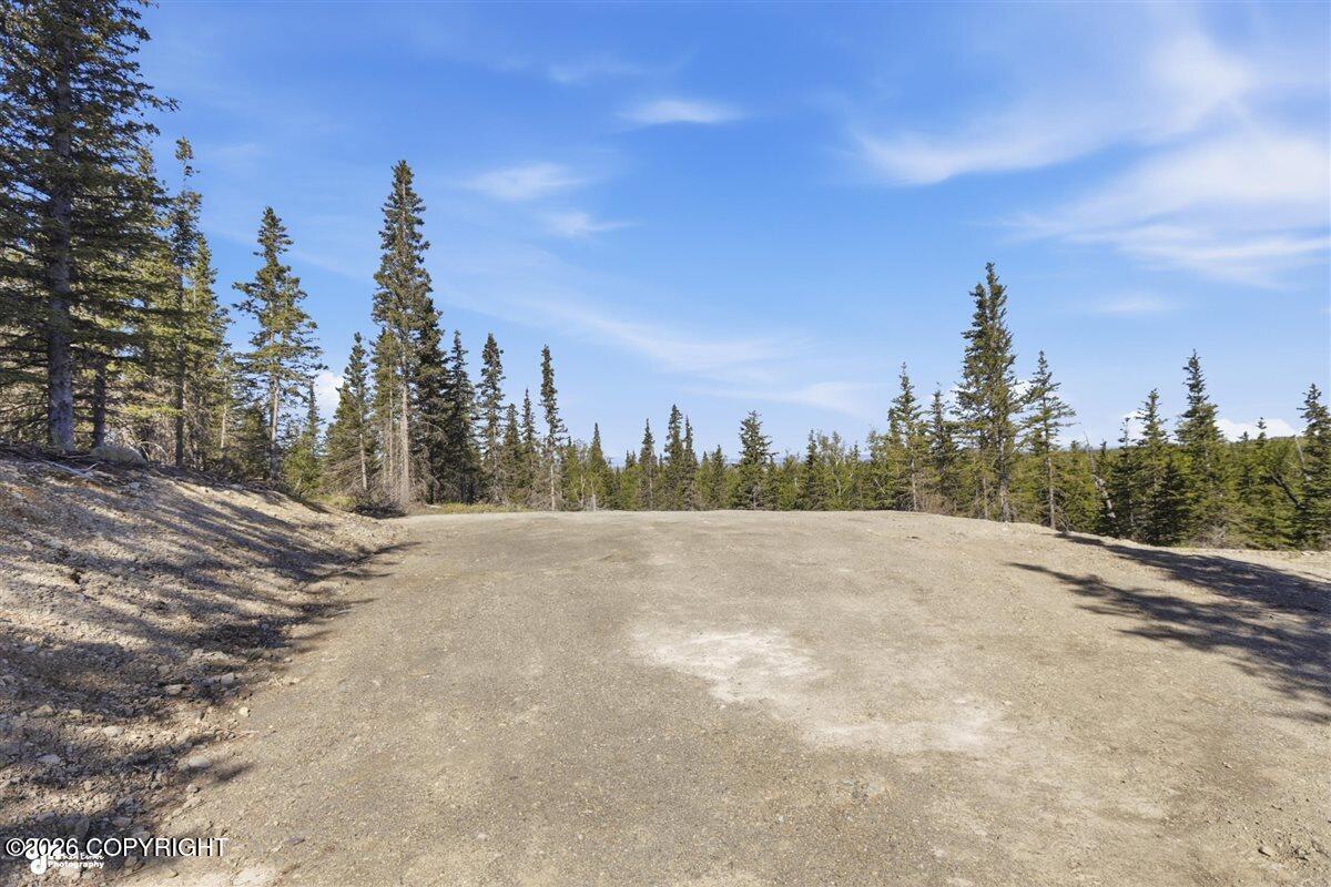 L2 Prospector Creek Property Photo 7