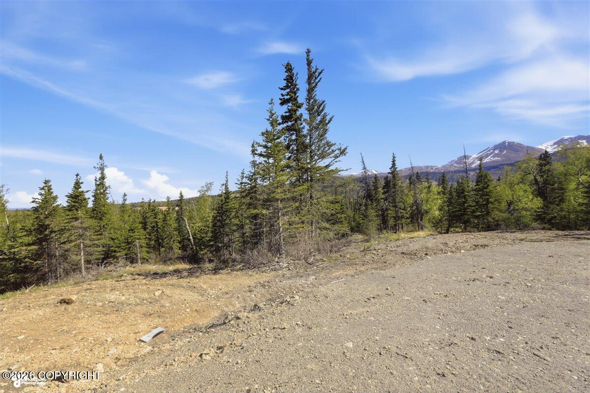 L2 Prospector Creek Property Photo 8
