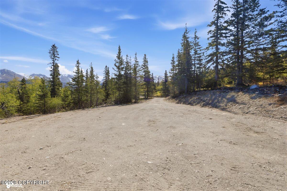 L2 Prospector Creek Property Photo 9