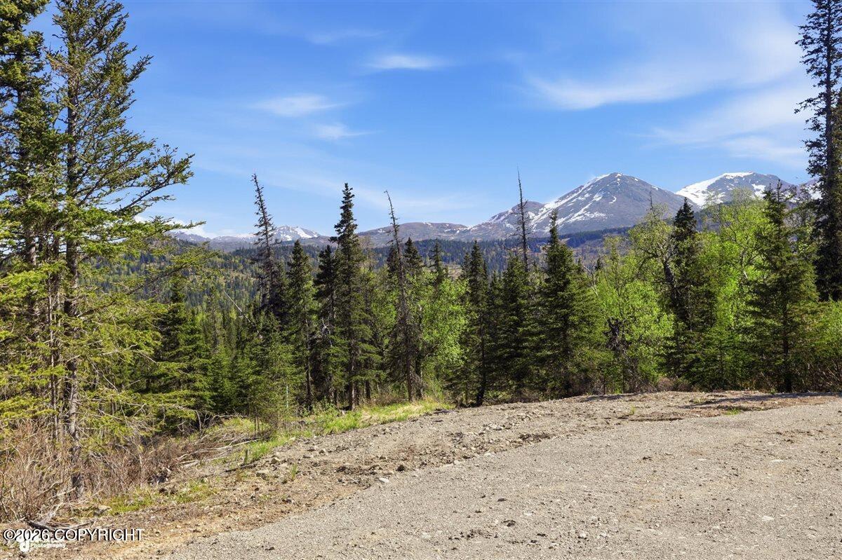 L2 Prospector Creek Property Photo 10