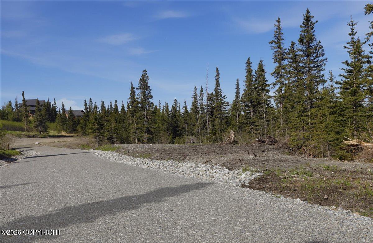 L2 Prospector Creek Property Photo 36