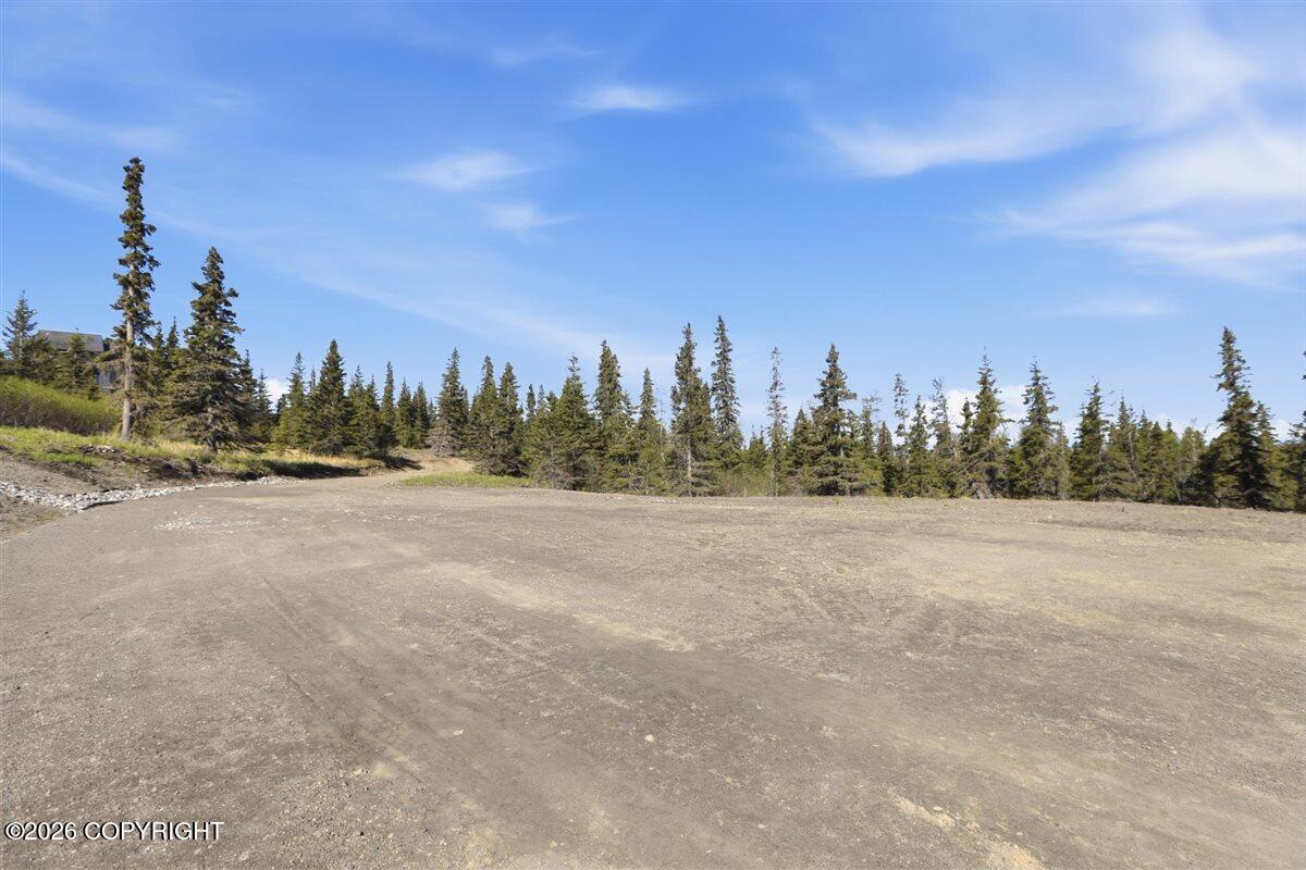 L2 Prospector Creek Property Photo 37