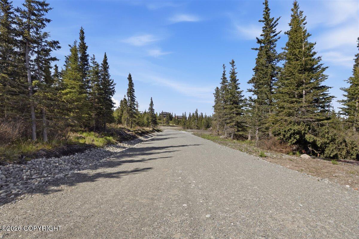 L2 Prospector Creek Property Photo 38