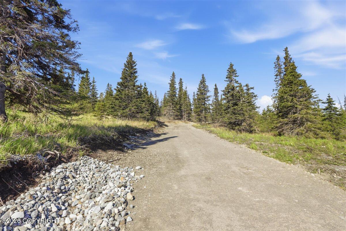 L2 Prospector Creek Property Photo 40