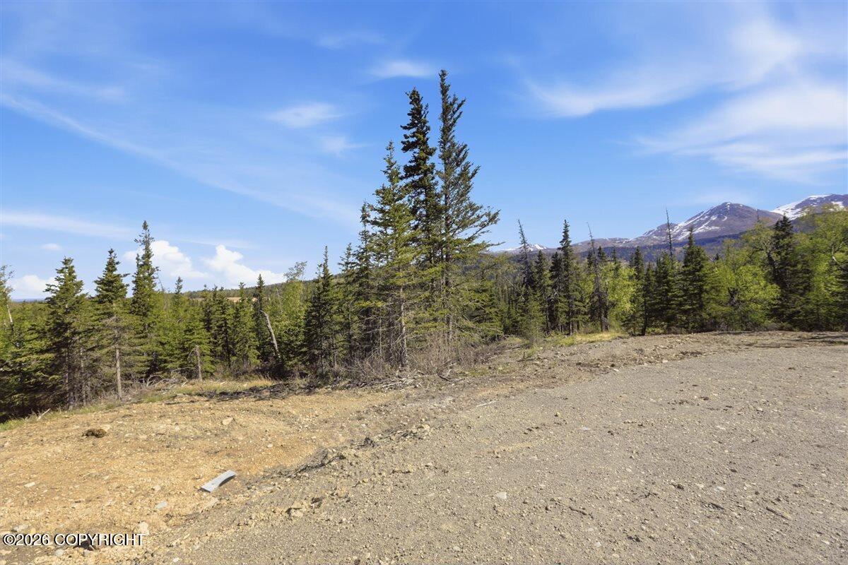 L2 Prospector Creek Property Photo 41