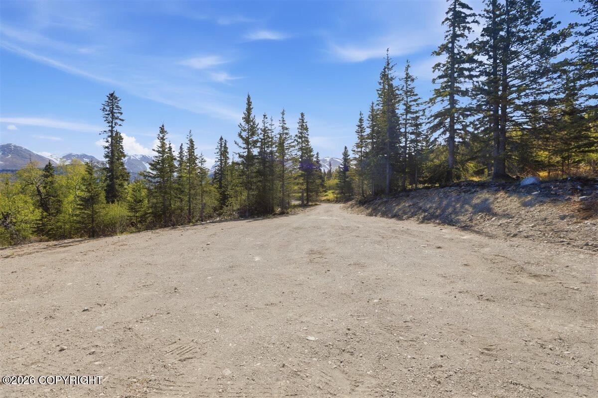 L2 Prospector Creek Property Photo 43