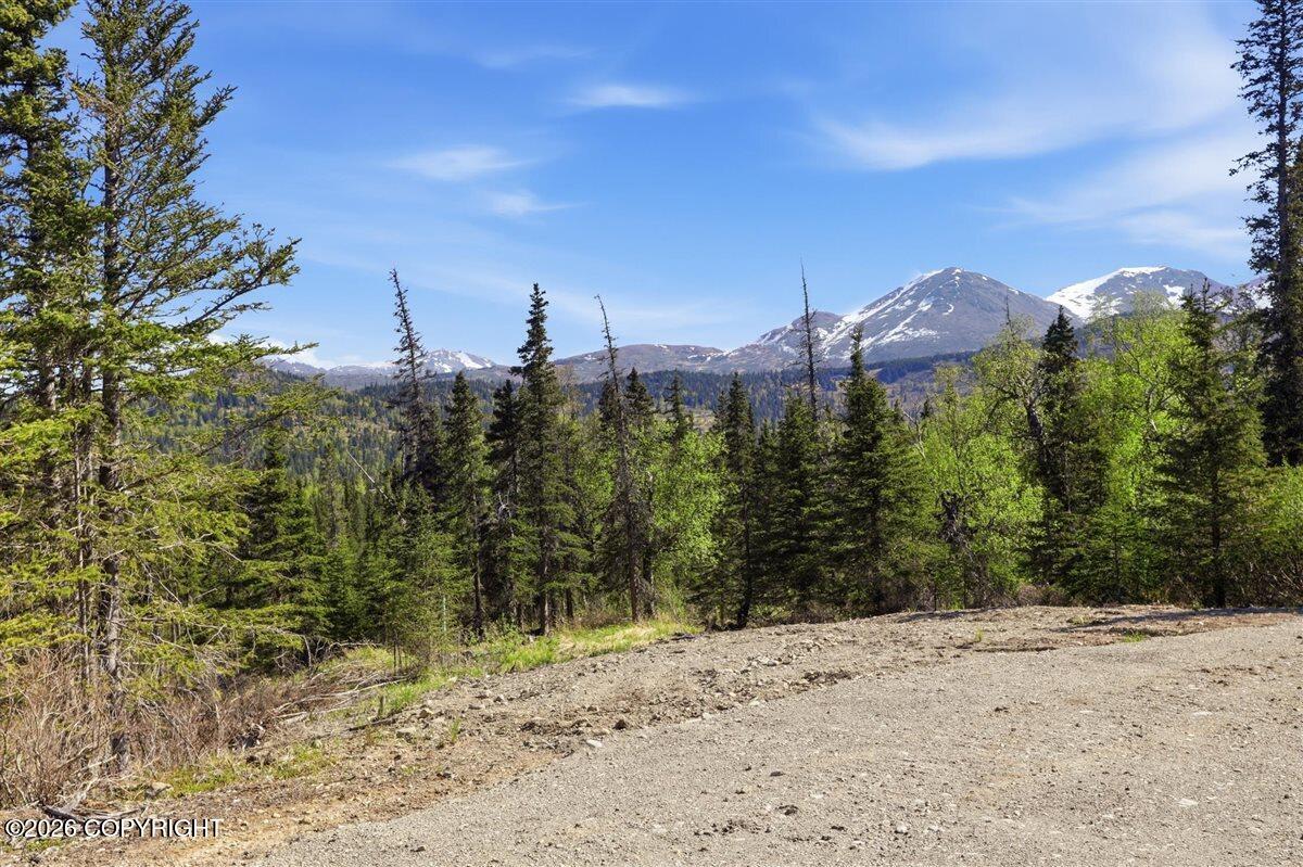 L2 Prospector Creek Property Photo 44