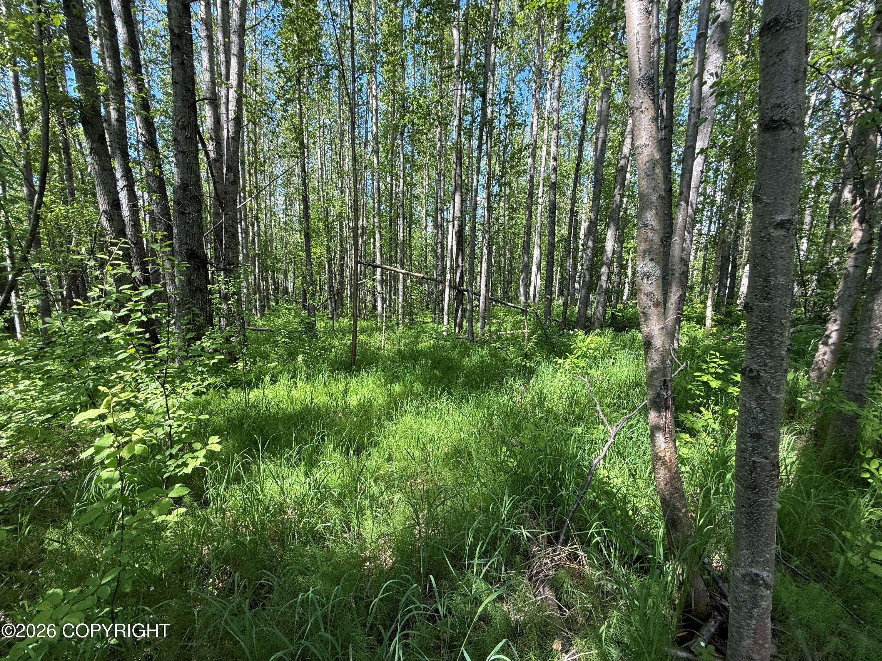 10720 S Old Glenn Highway Property Photo 3