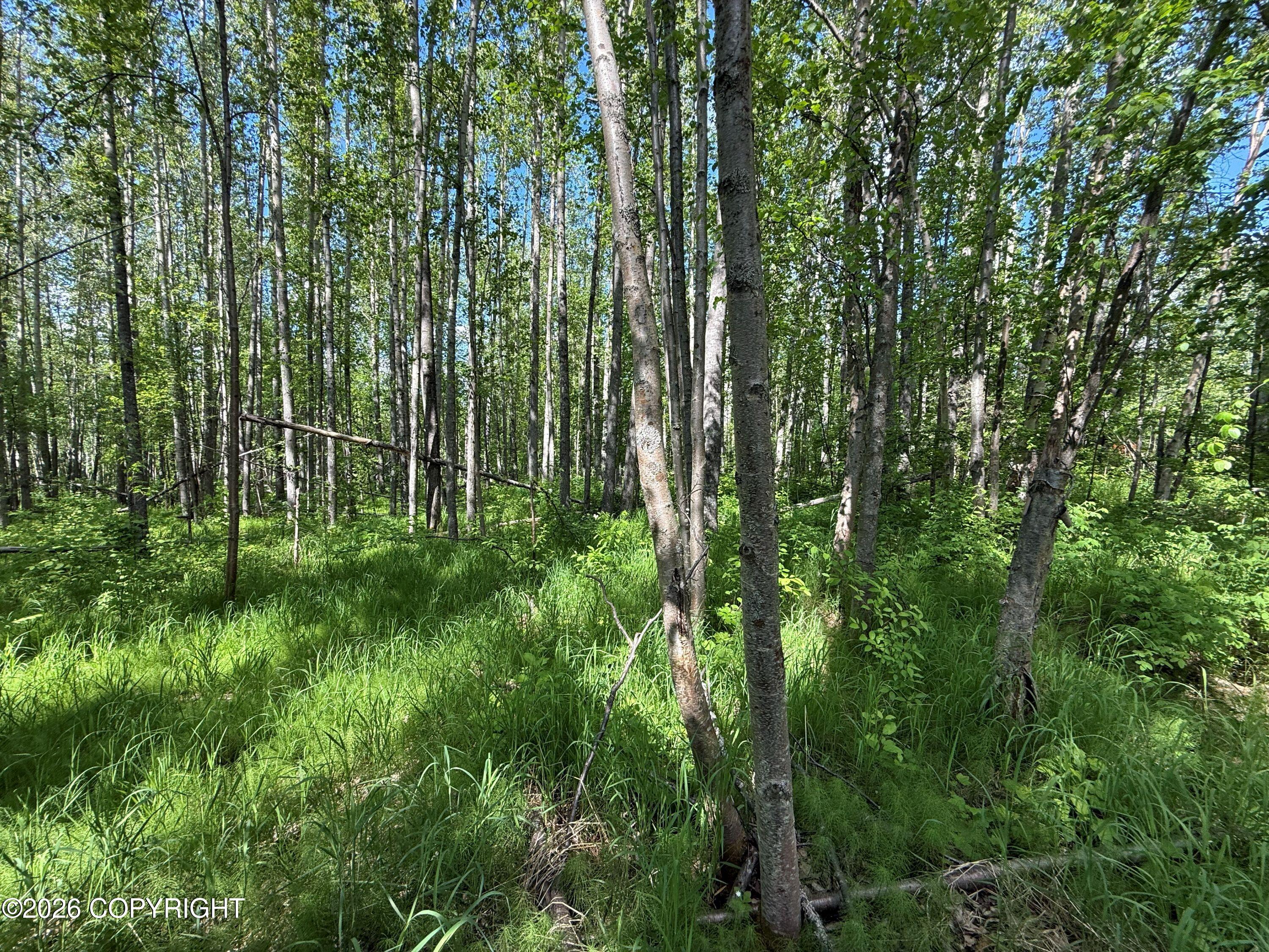 10720 S Old Glenn Highway Property Photo 4