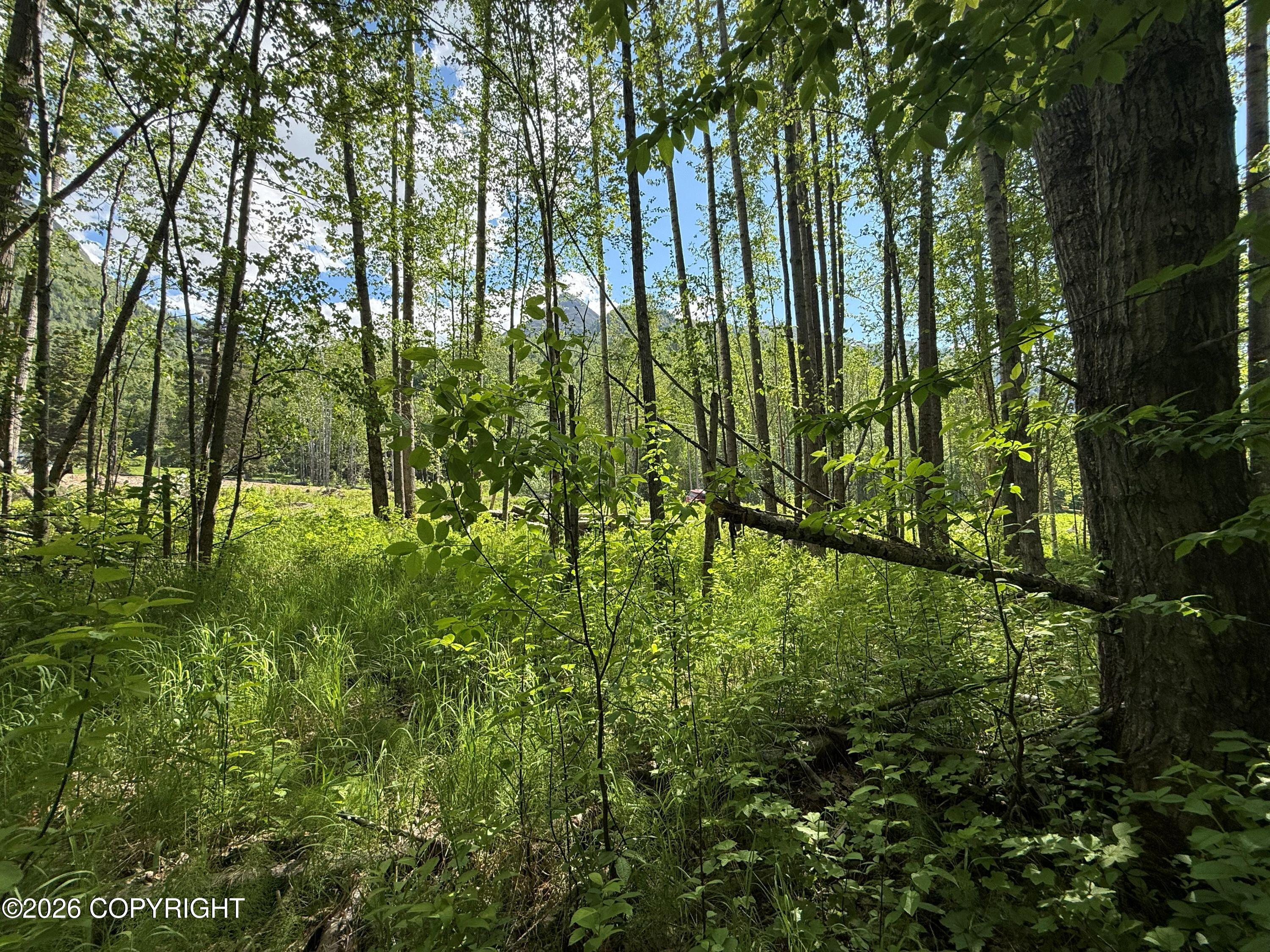 10720 S Old Glenn Highway Property Photo 5
