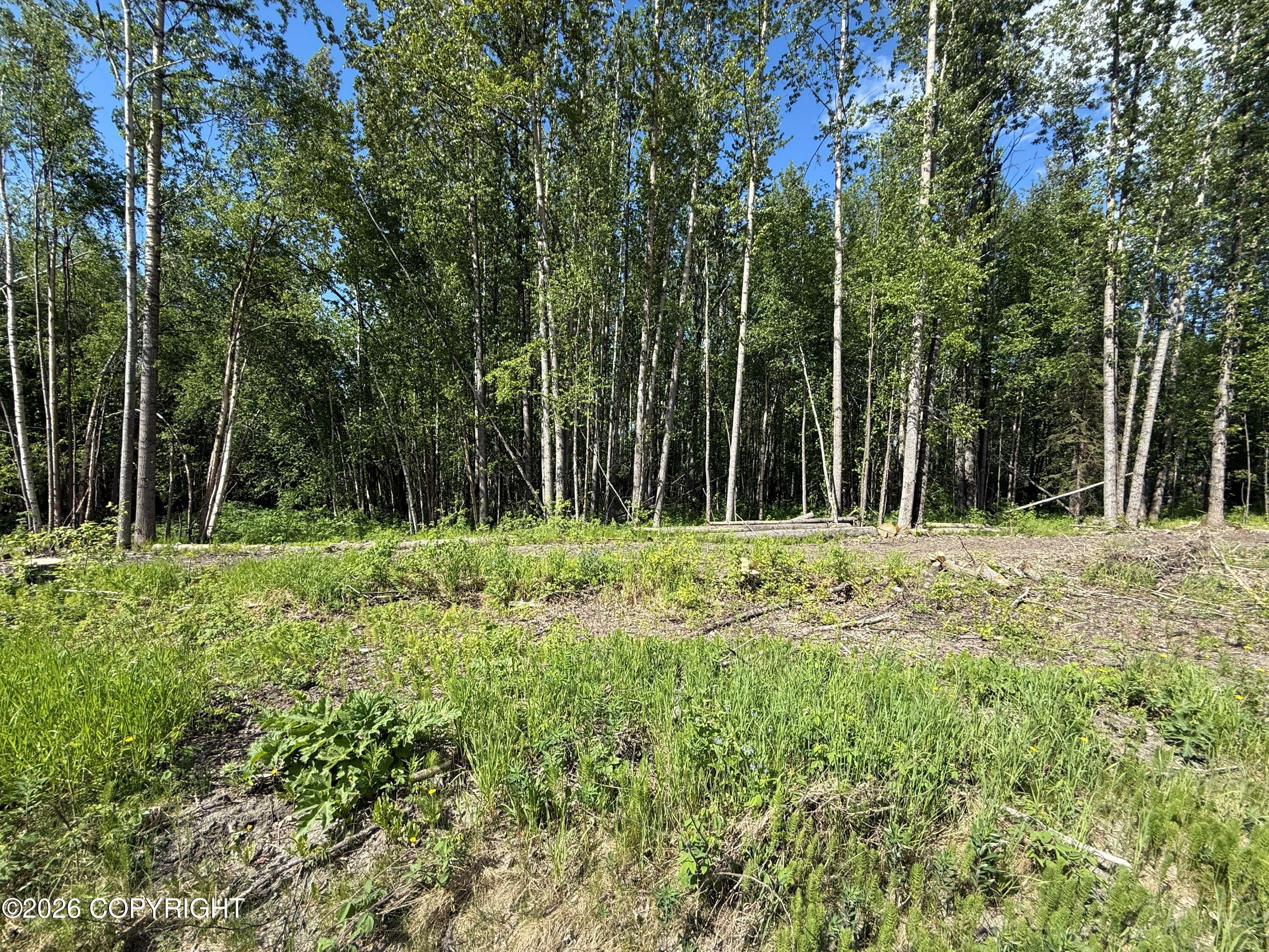 10720 S Old Glenn Highway Property Photo 6