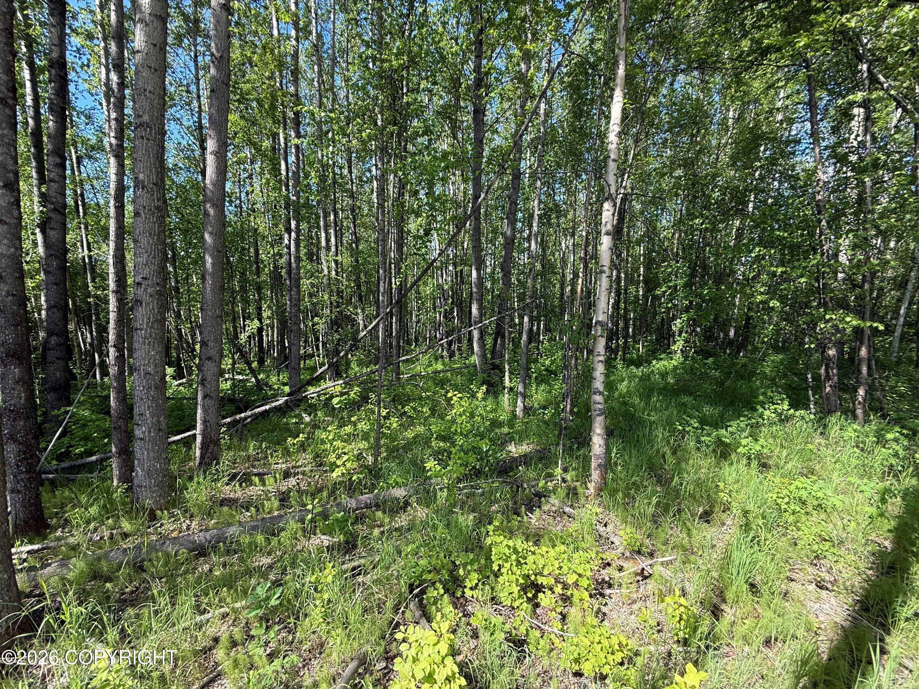 10720 S Old Glenn Highway Property Photo 7