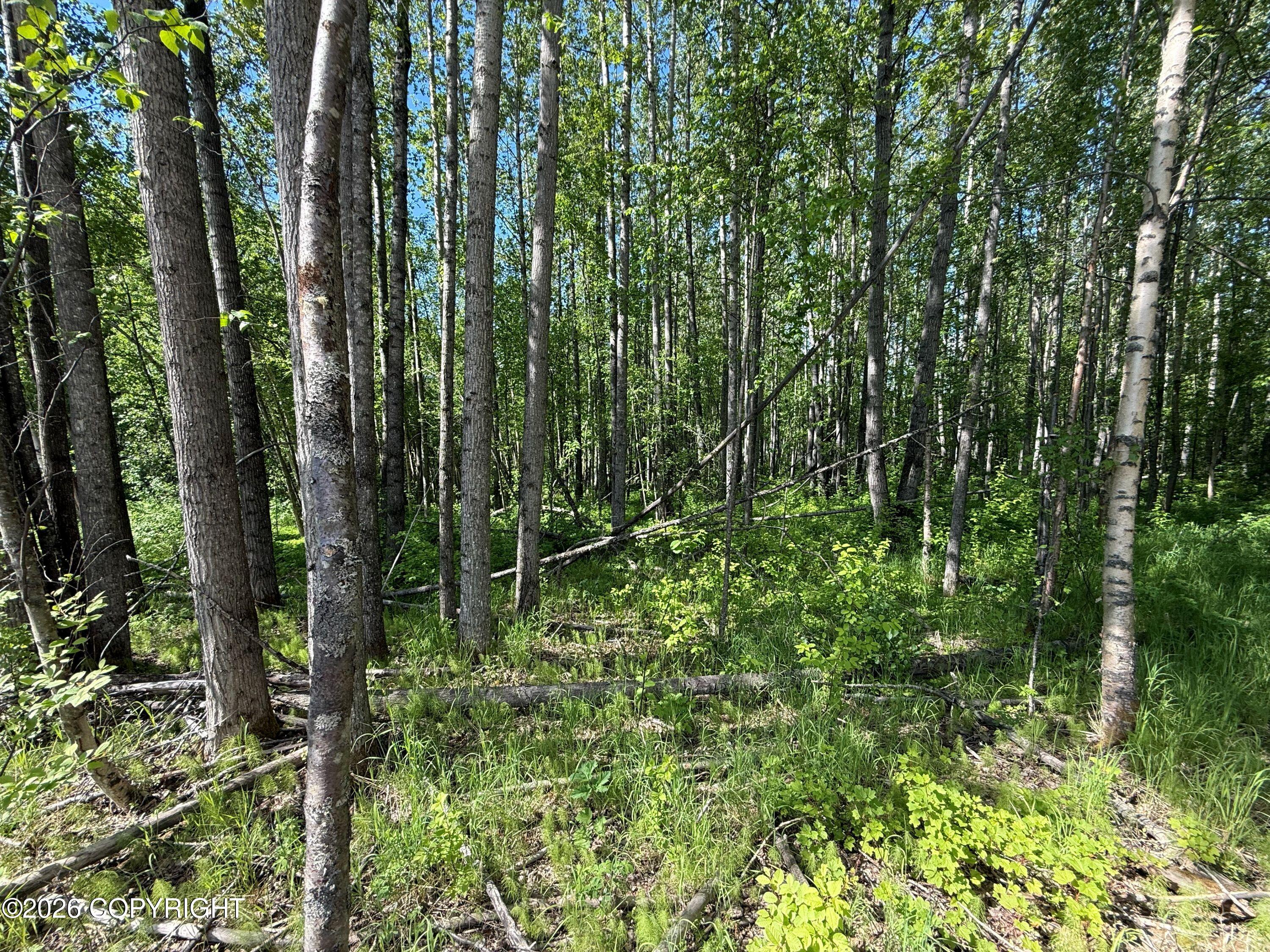 10720 S Old Glenn Highway Property Photo 8