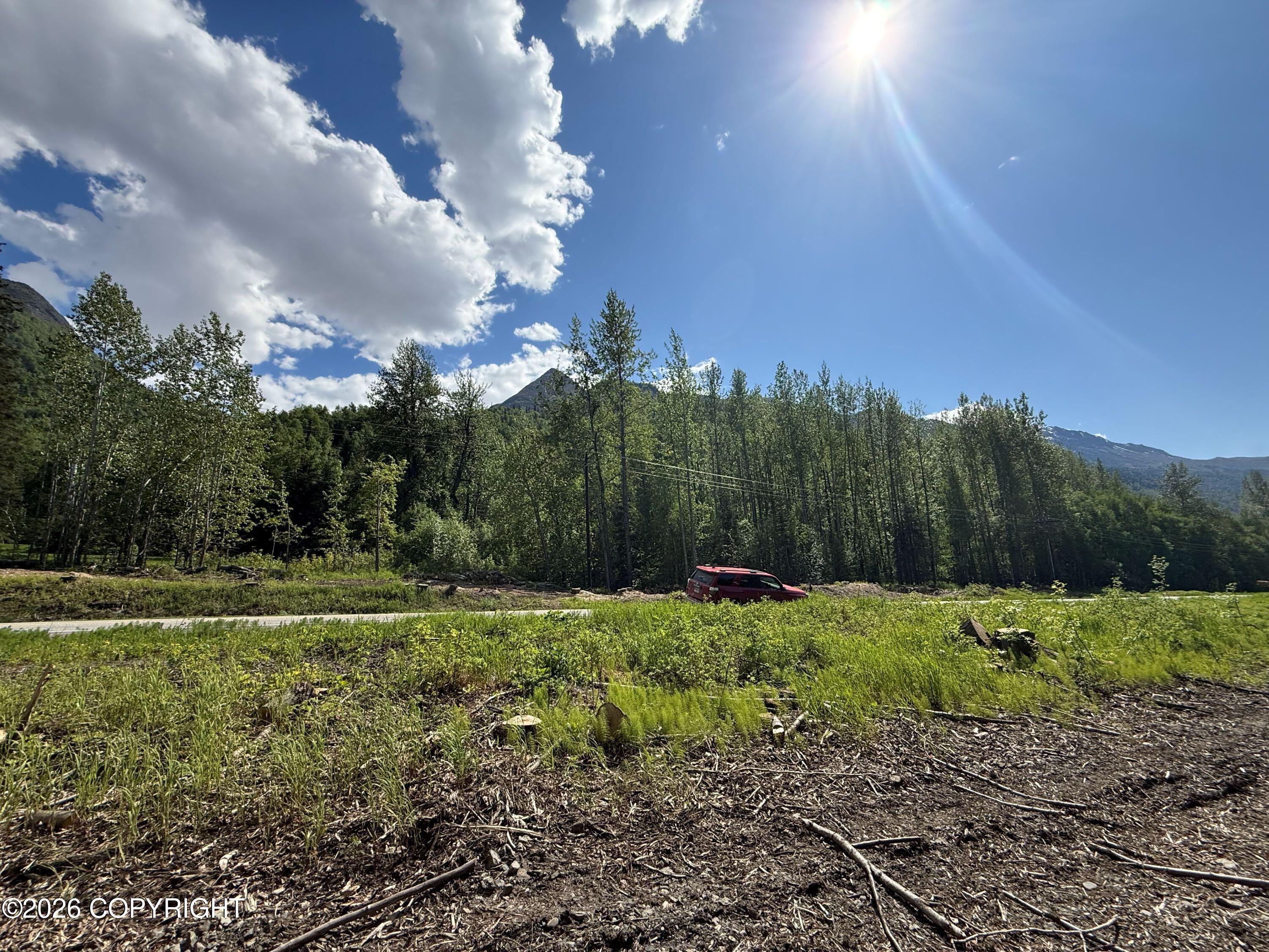 10720 S Old Glenn Highway Property Photo 9