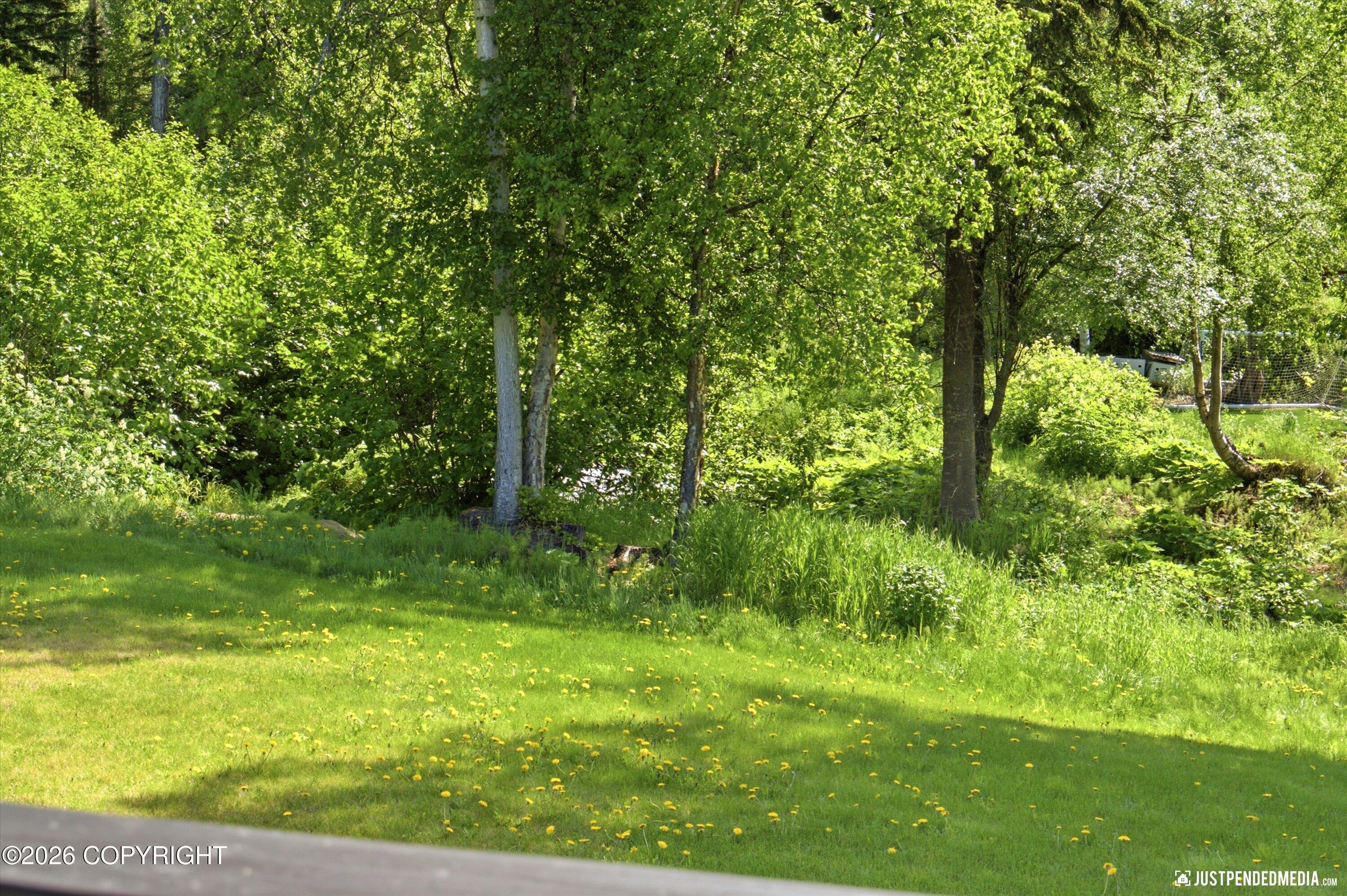 11237 Jessie Mae Circle Property Photo 73