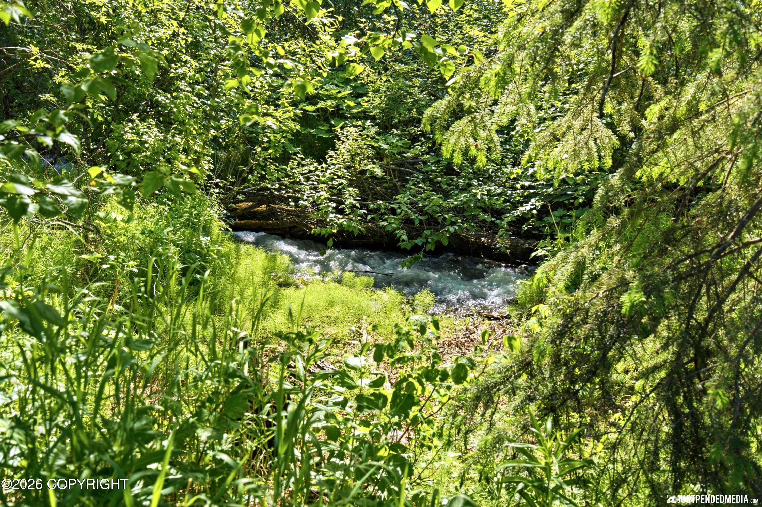 11237 Jessie Mae Circle Property Photo 77