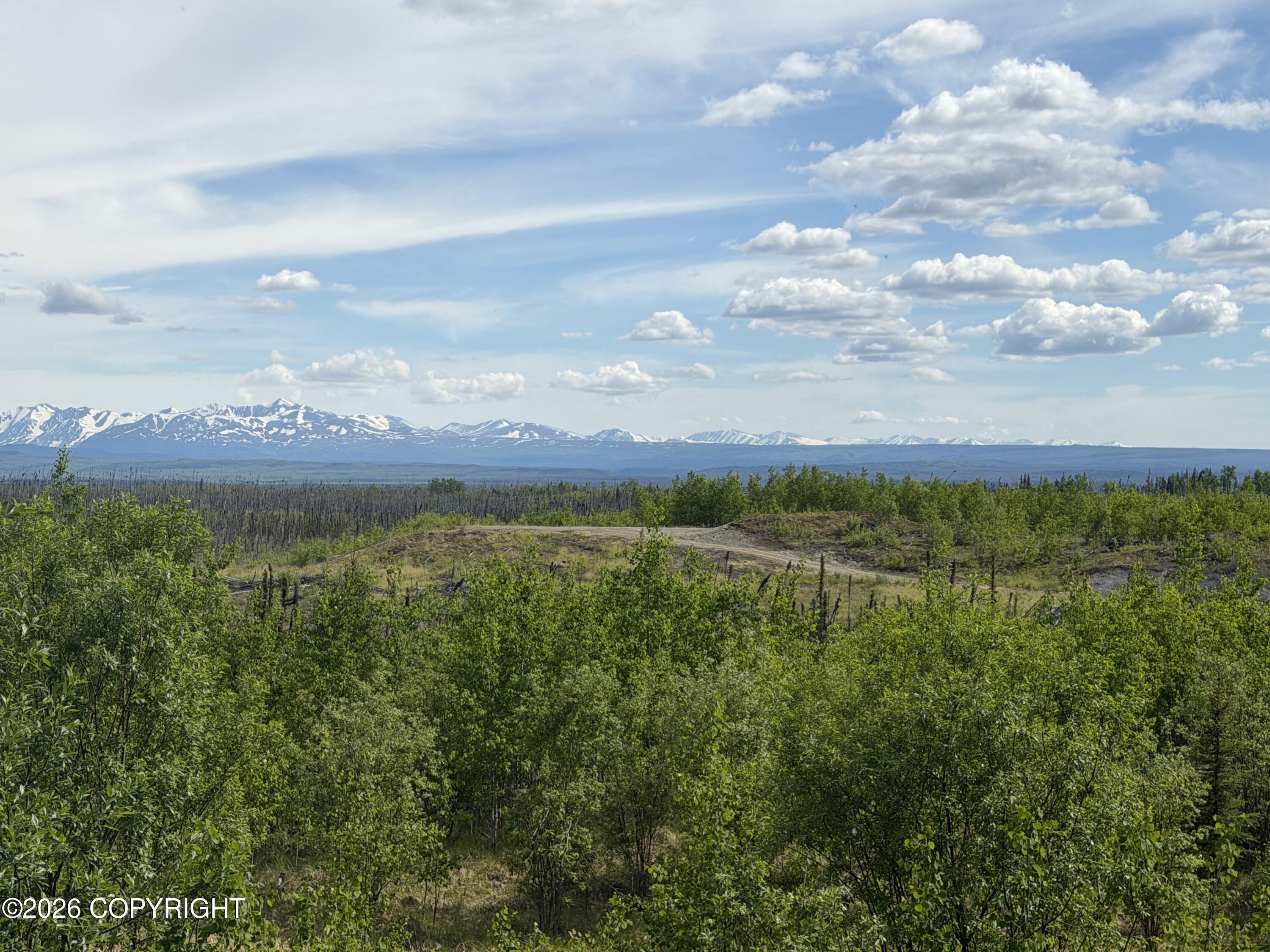 36210 Cottontree Lane Property Photo 43