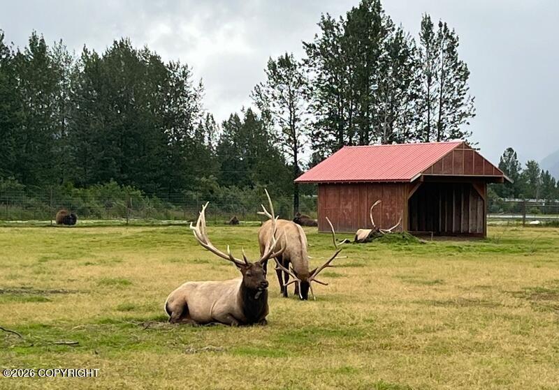 28951 N Parks Highway Property Photo 22