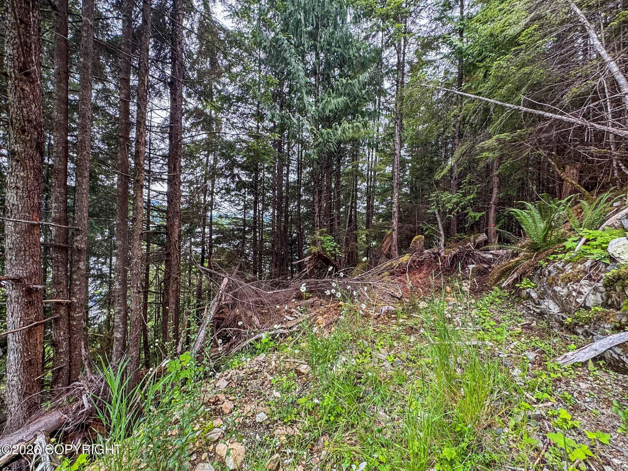 Lot Dc-4 Shoreline Drive Property Photo 3