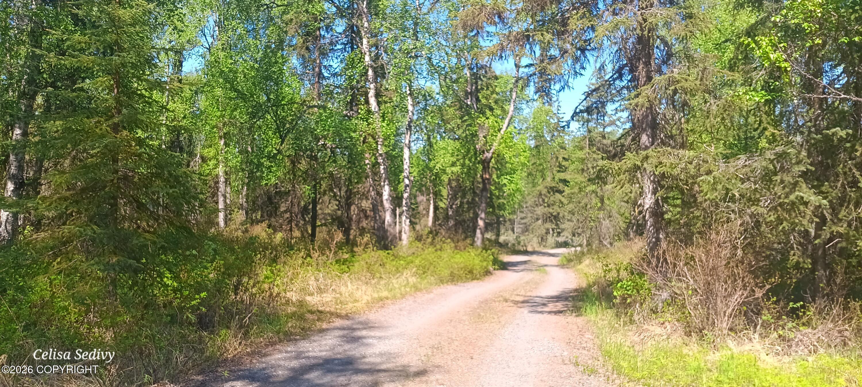 49425 Tote Road Property Photo 64