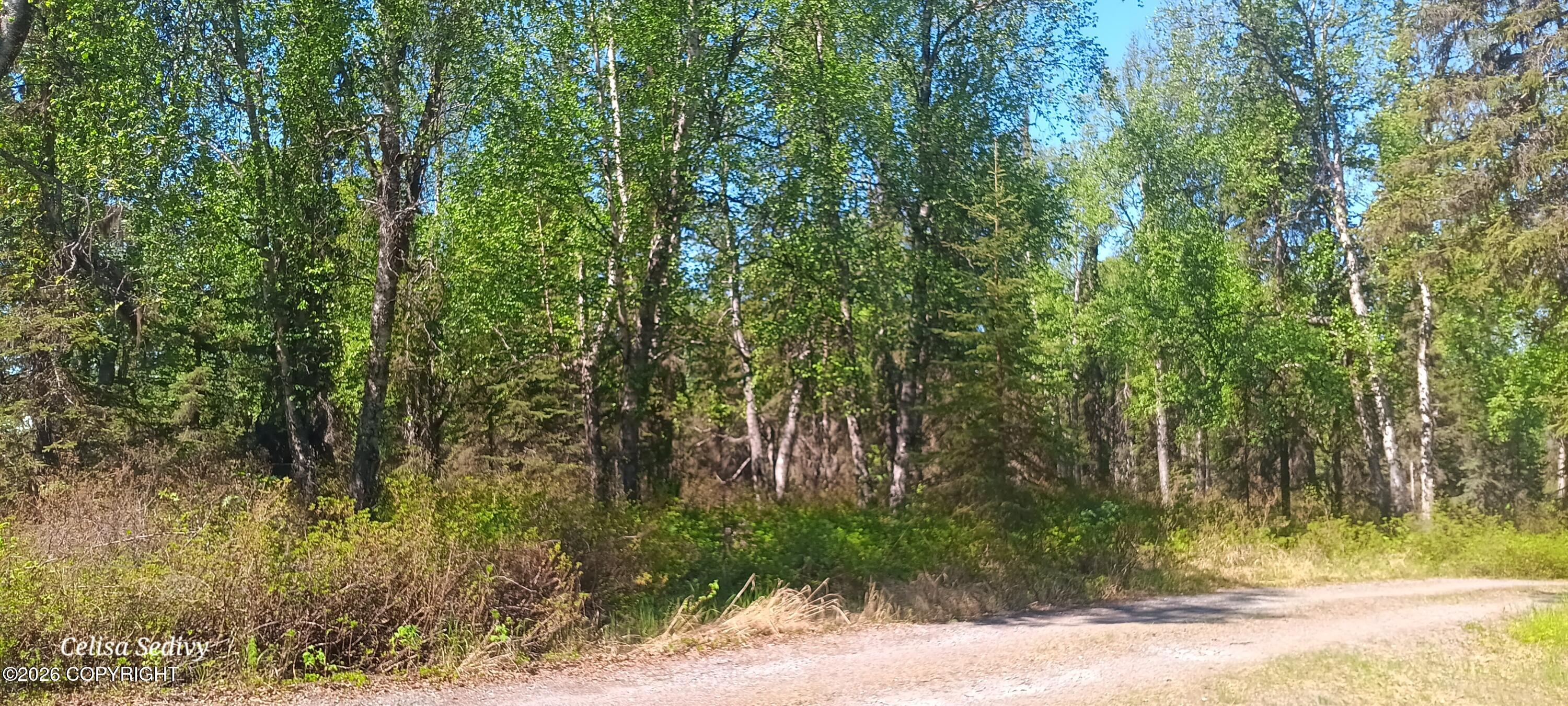 49425 Tote Road Property Photo 65