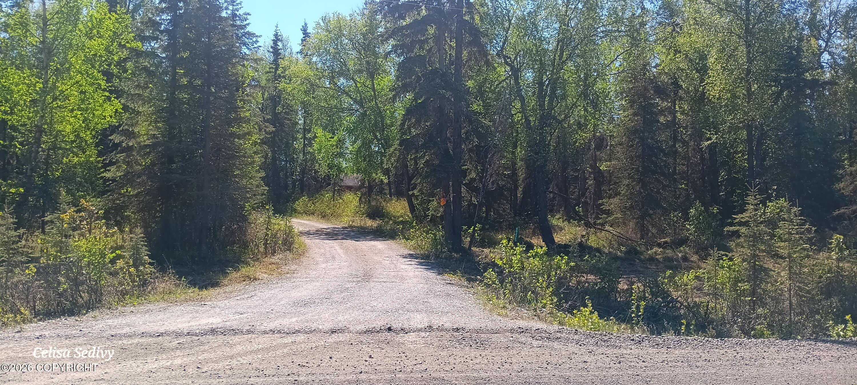 49425 Tote Road Property Photo 67