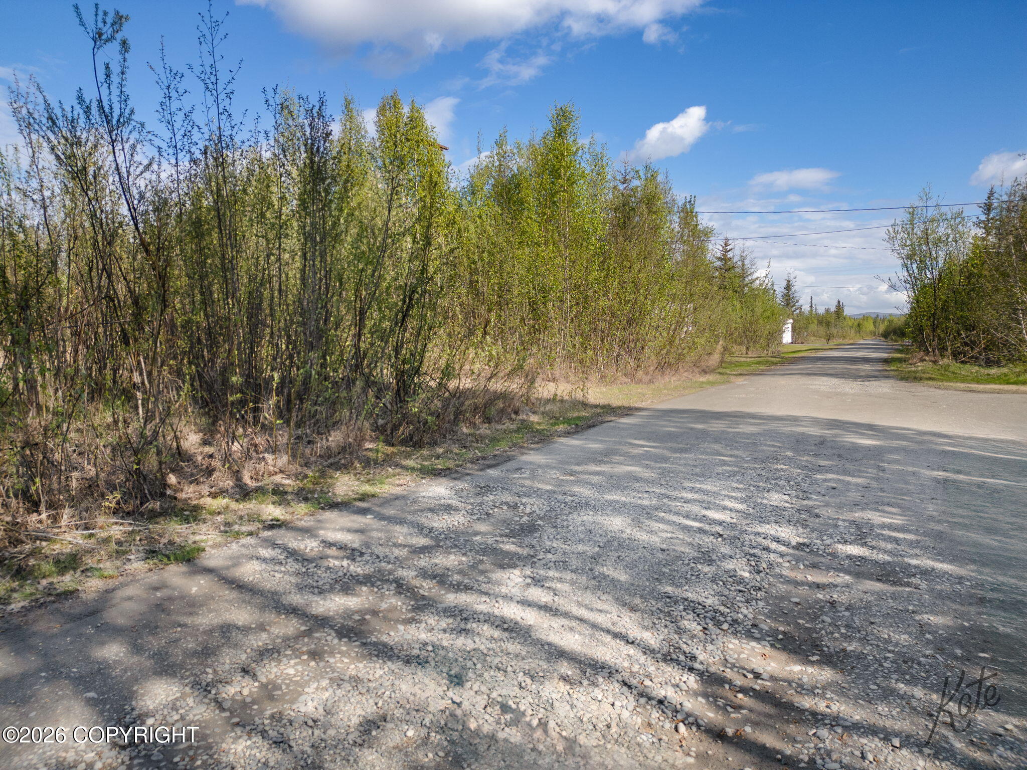1279 Atigun Street Property Photo 6