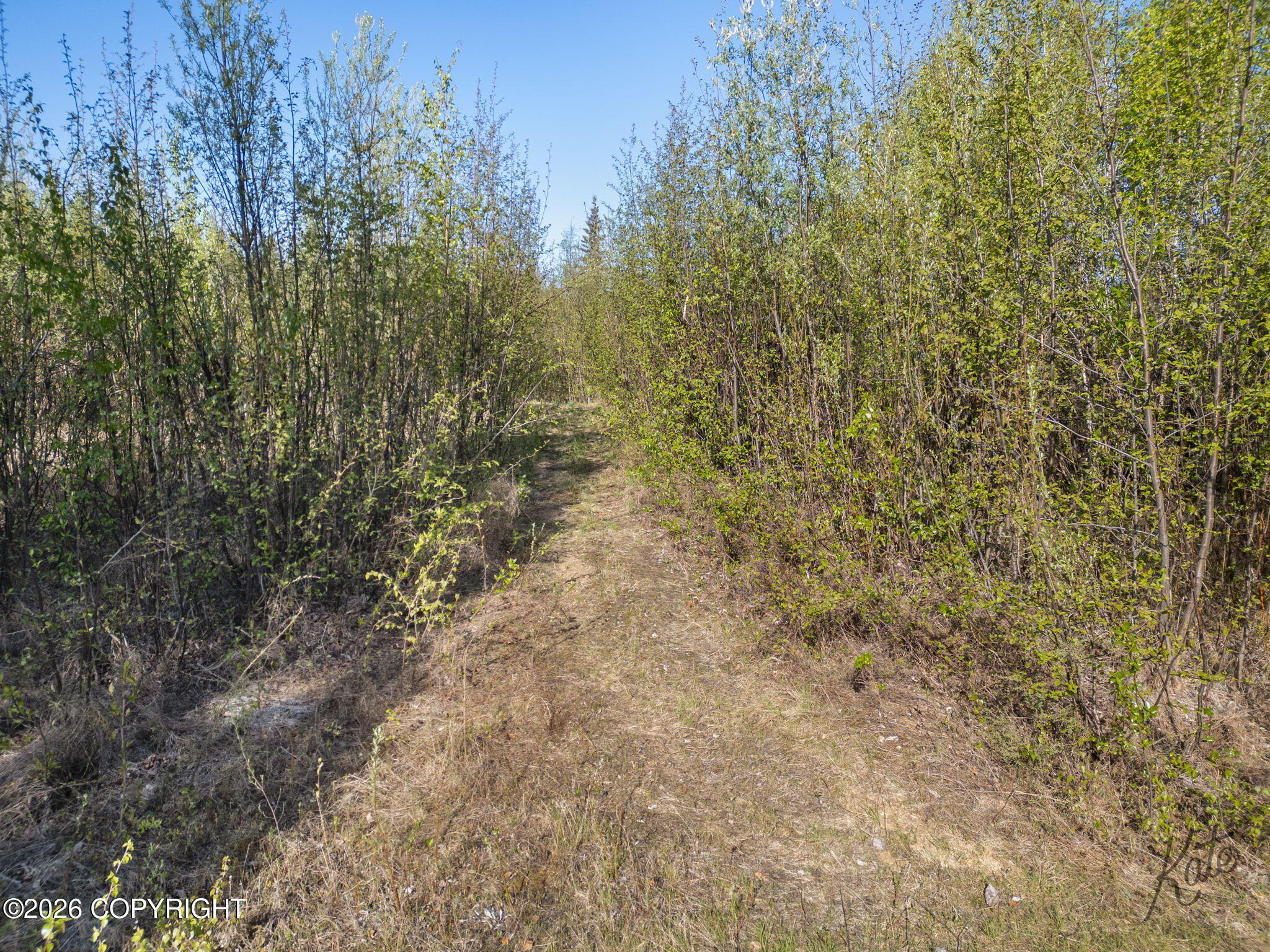 1279 Atigun Street Property Photo 7