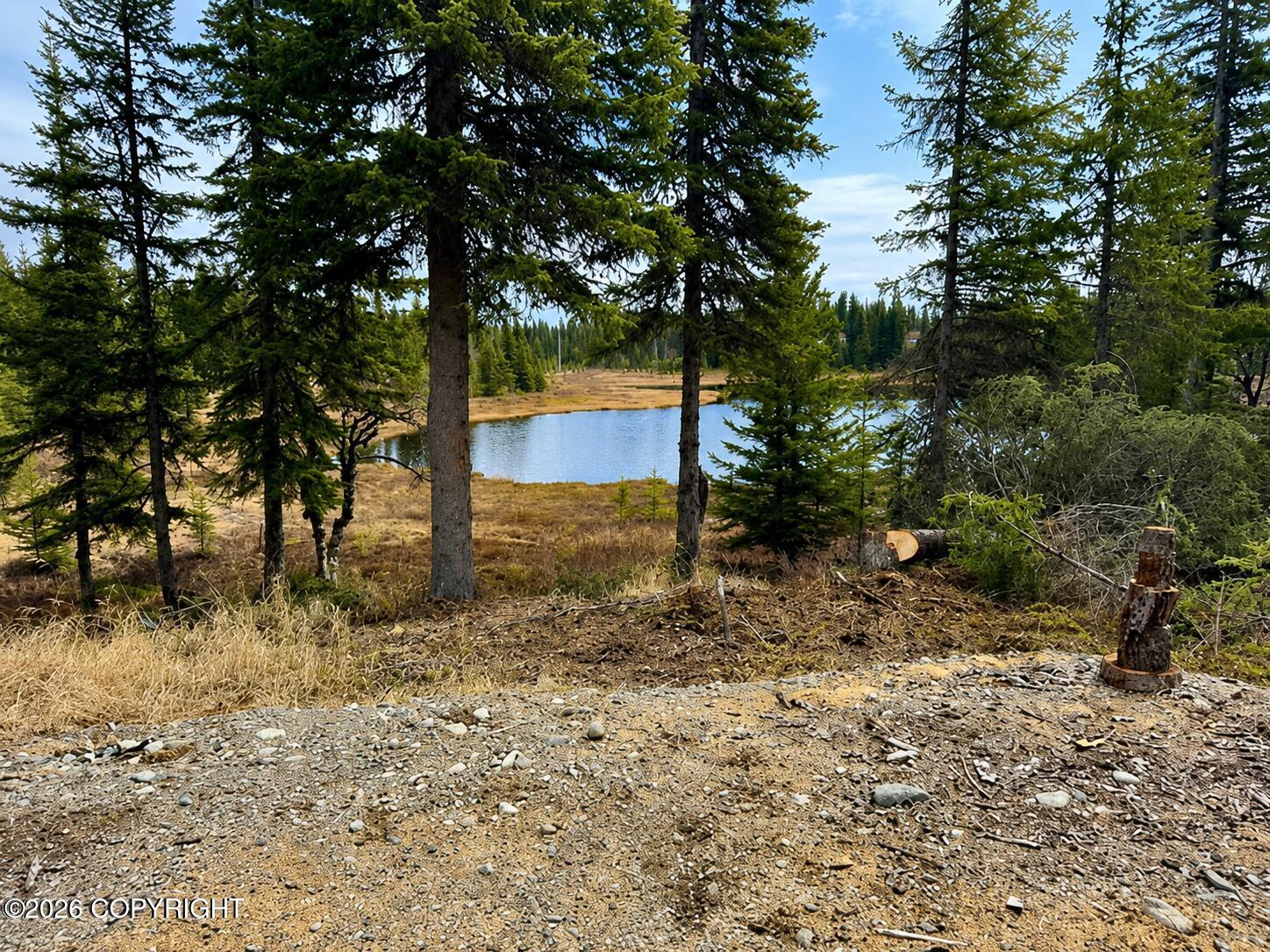 36118 Old Sterling Highway Property Photo 7