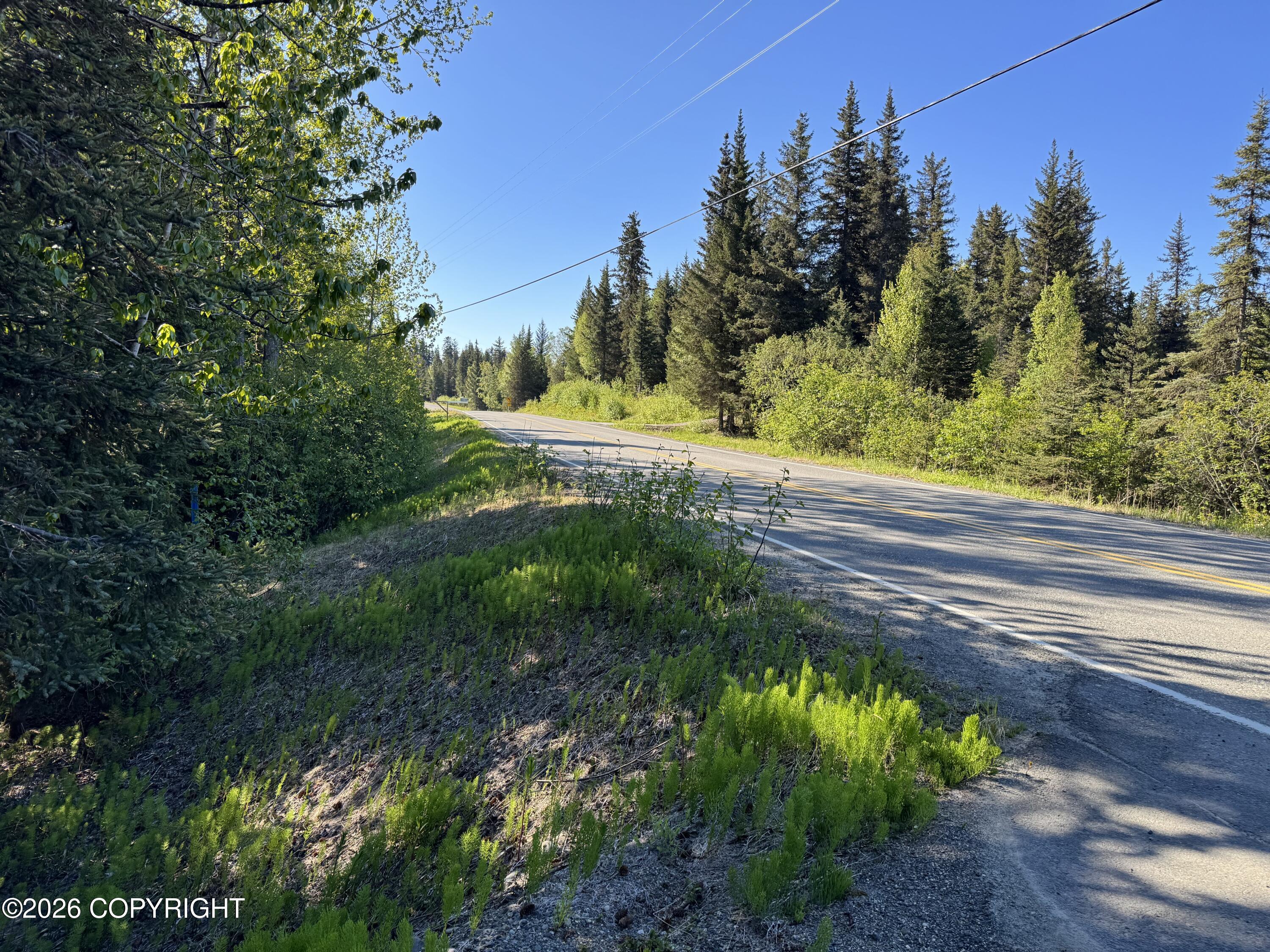 36118 Old Sterling Highway Property Photo 12