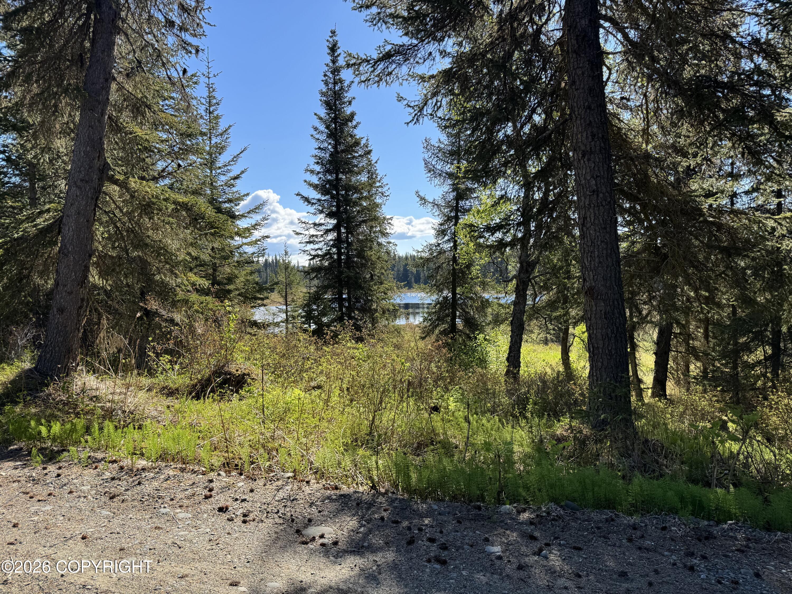 36118 Old Sterling Highway Property Photo 14