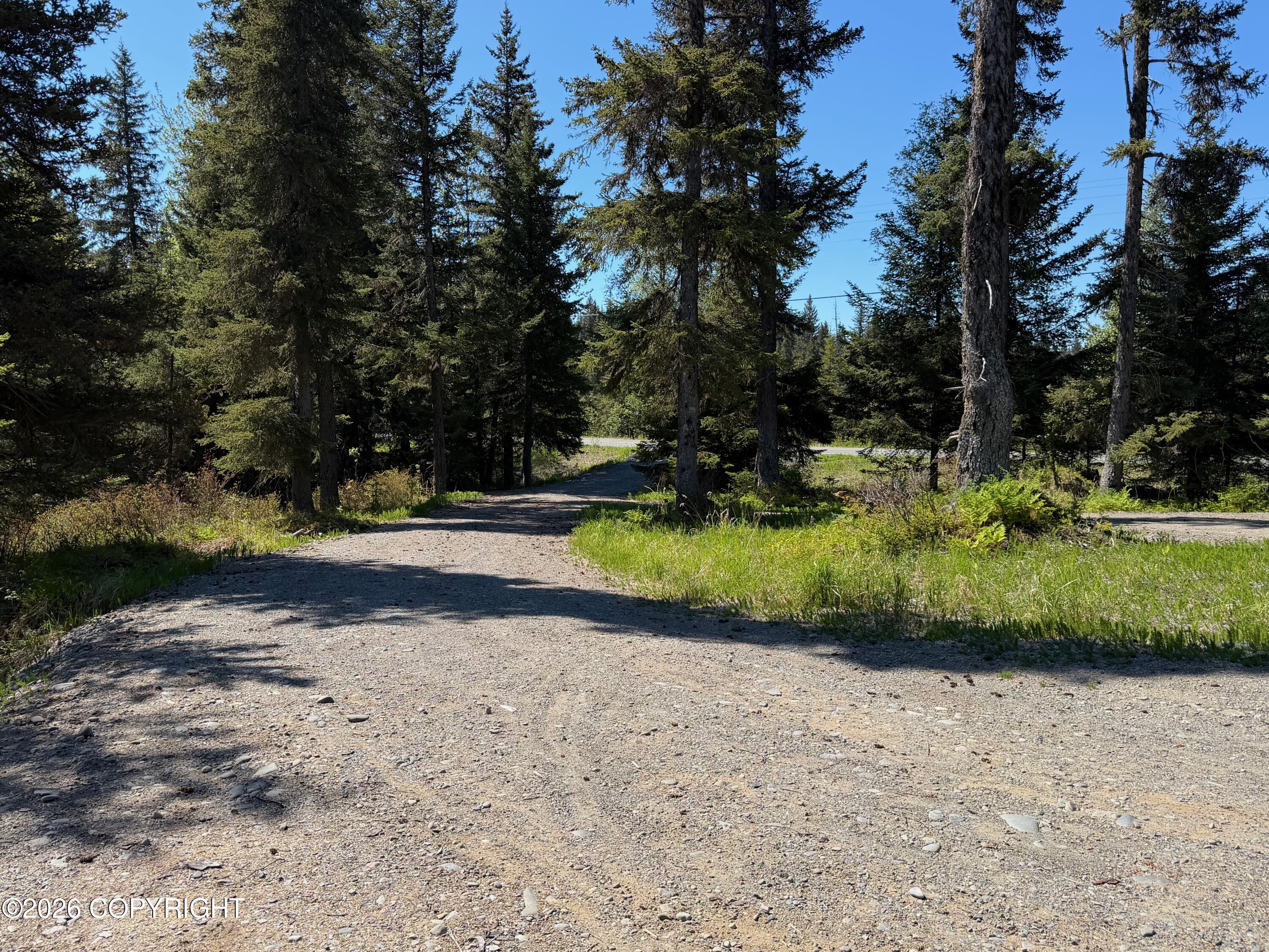 36118 Old Sterling Highway Property Photo 26