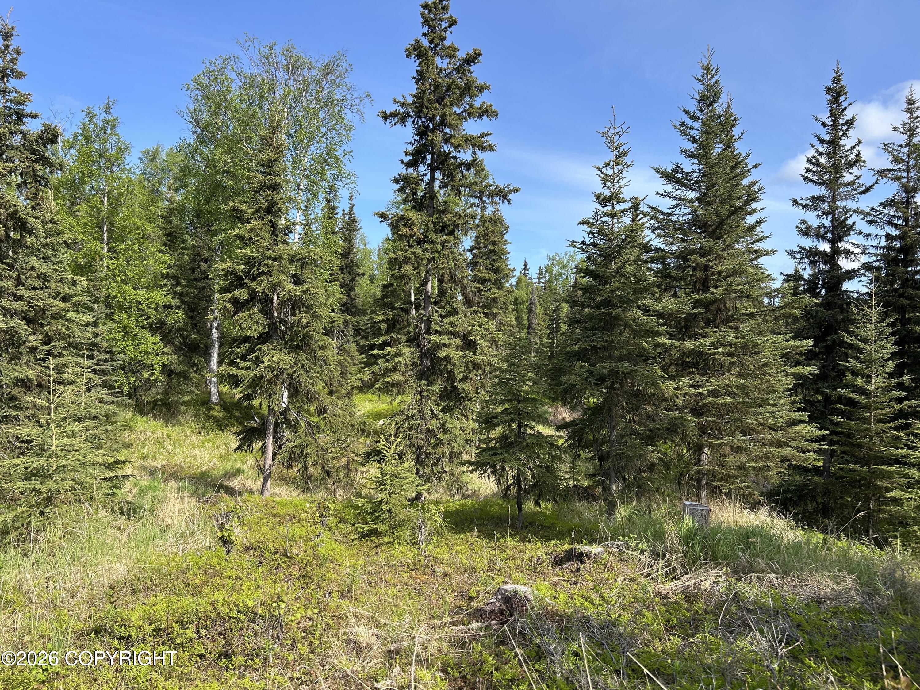 34815 Schwalm Road Property Photo 4