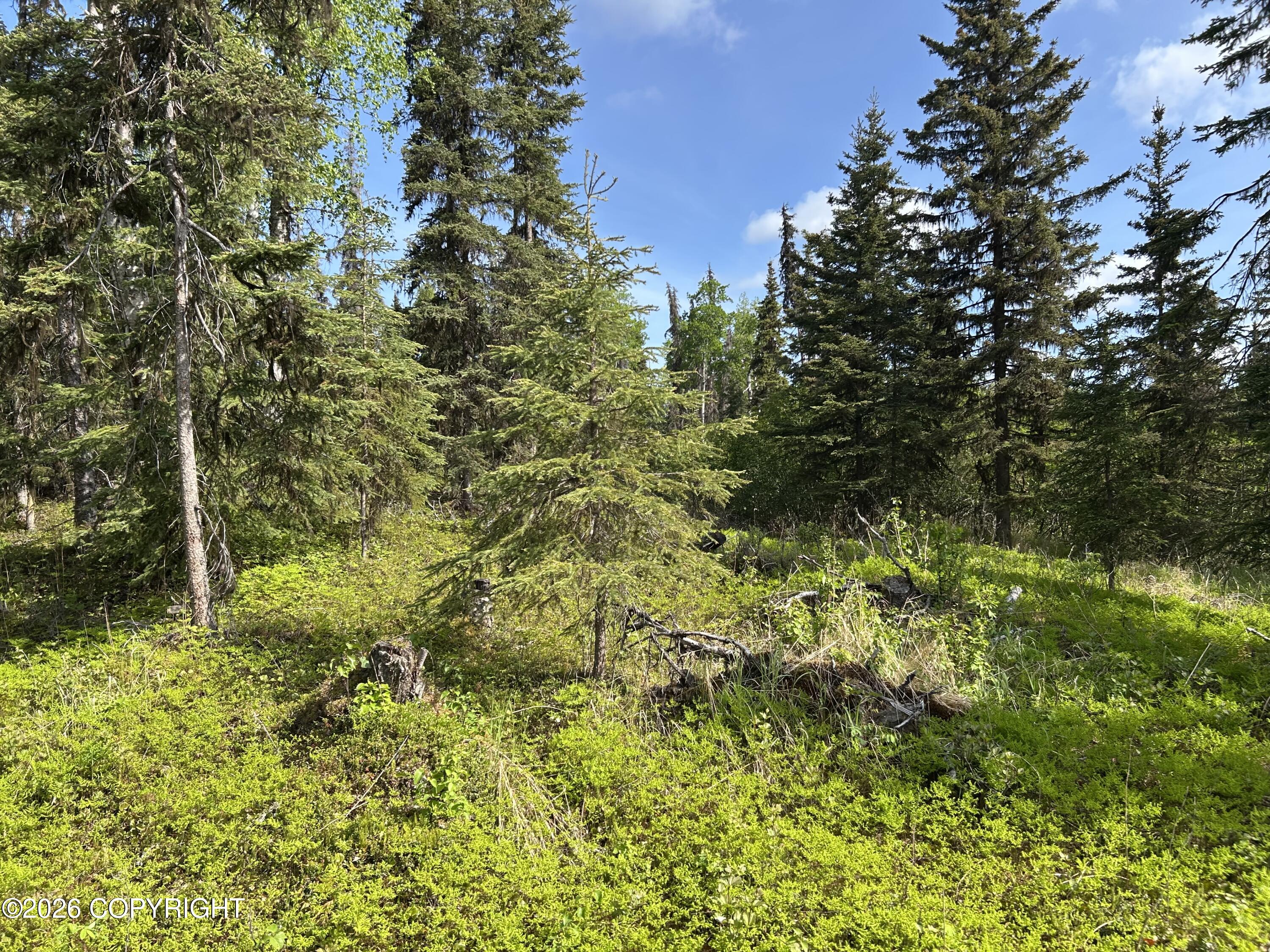 34815 Schwalm Road Property Photo 7