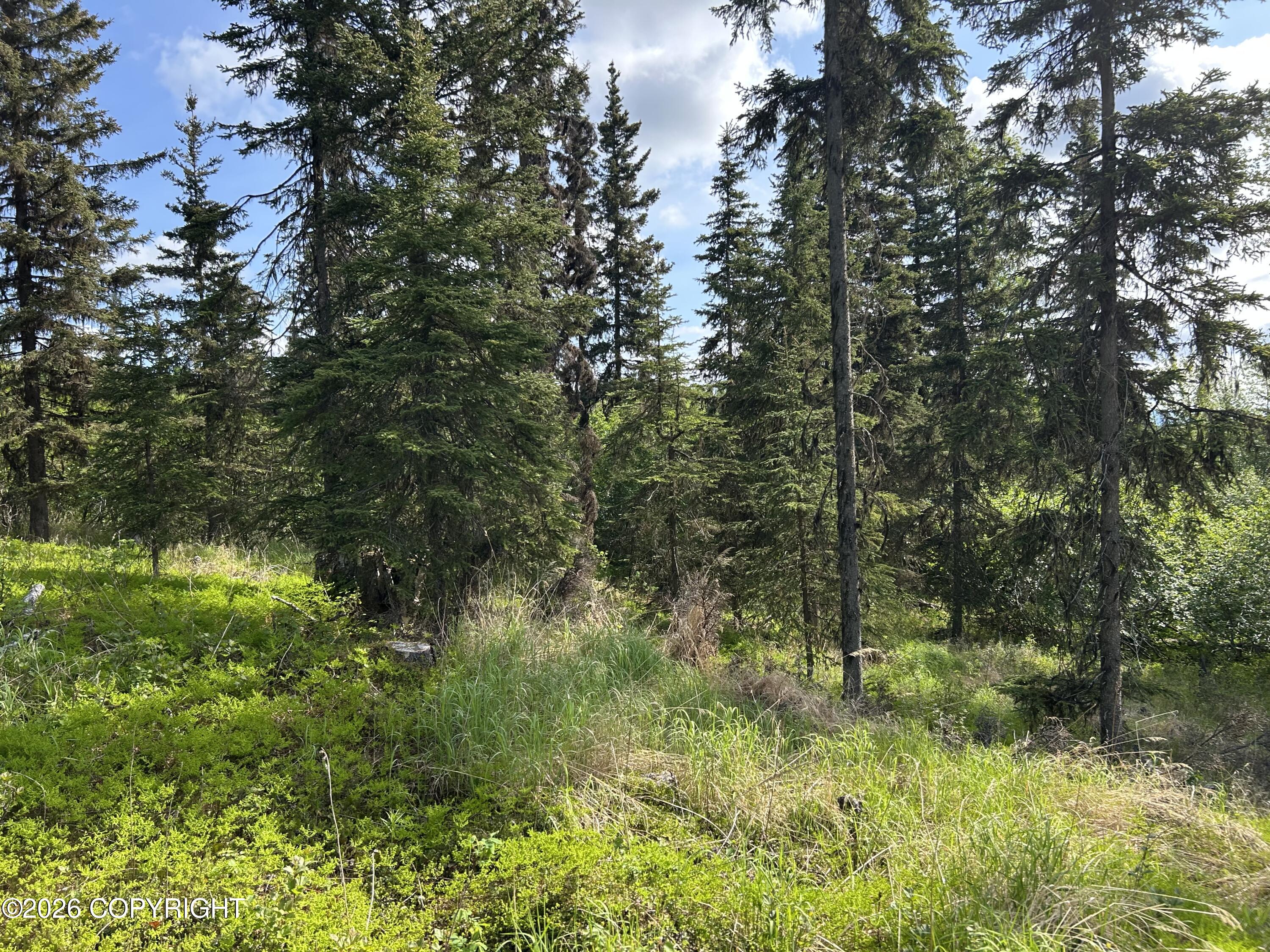 34815 Schwalm Road Property Photo 8