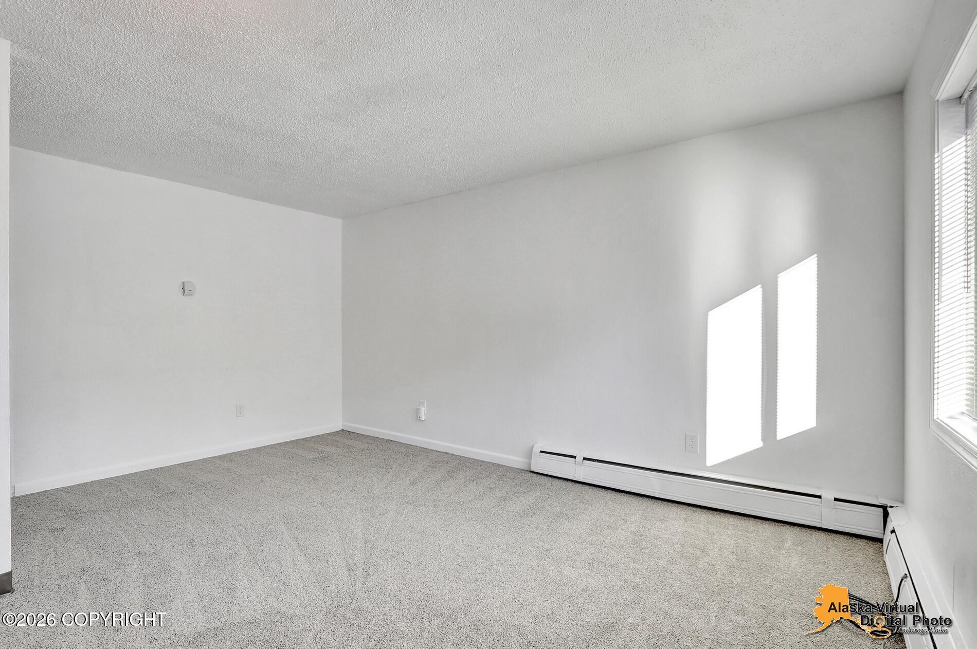 1227 E 11th Avenue Property Photo 46
