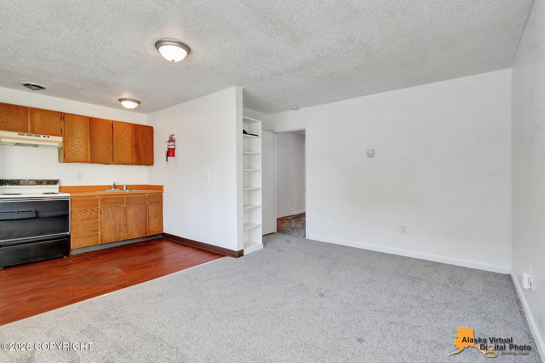 1227 E 11th Avenue Property Photo 51