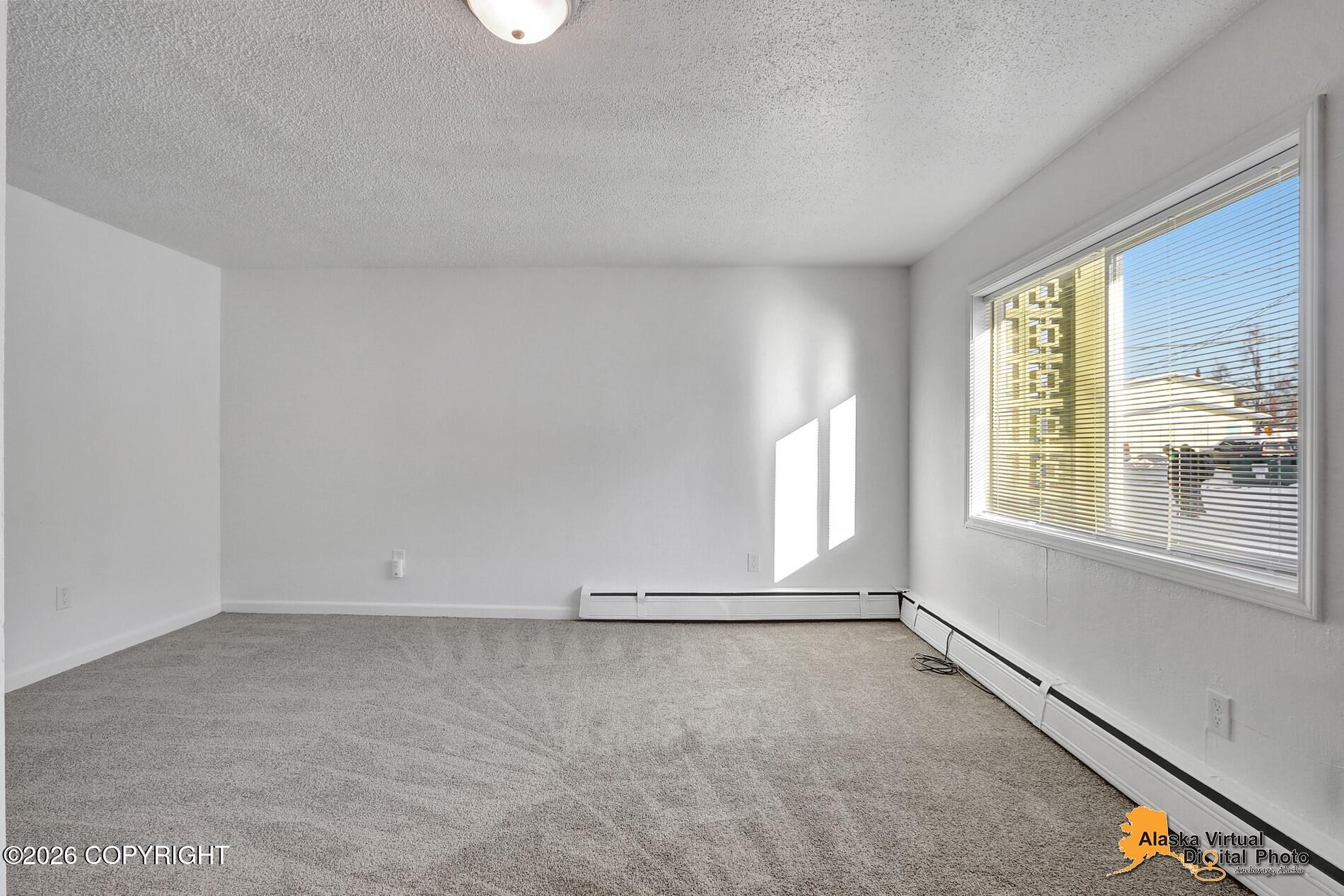 1227 E 11th Avenue Property Photo 52