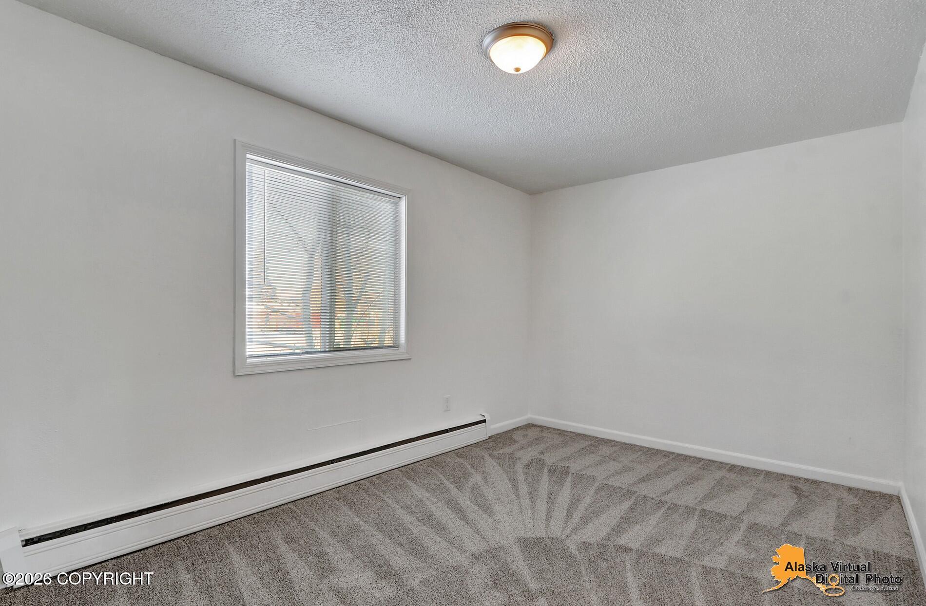 1227 E 11th Avenue Property Photo 54
