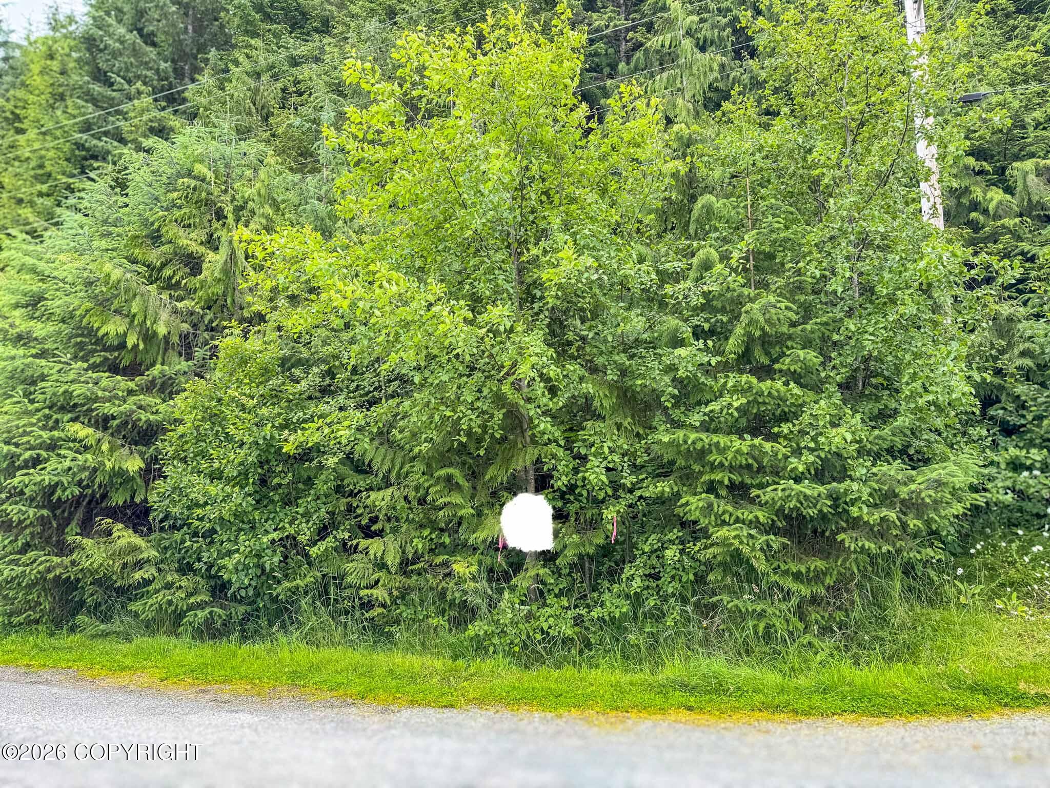 Lot Dc-5 Shoreline Drive Property Photo 2