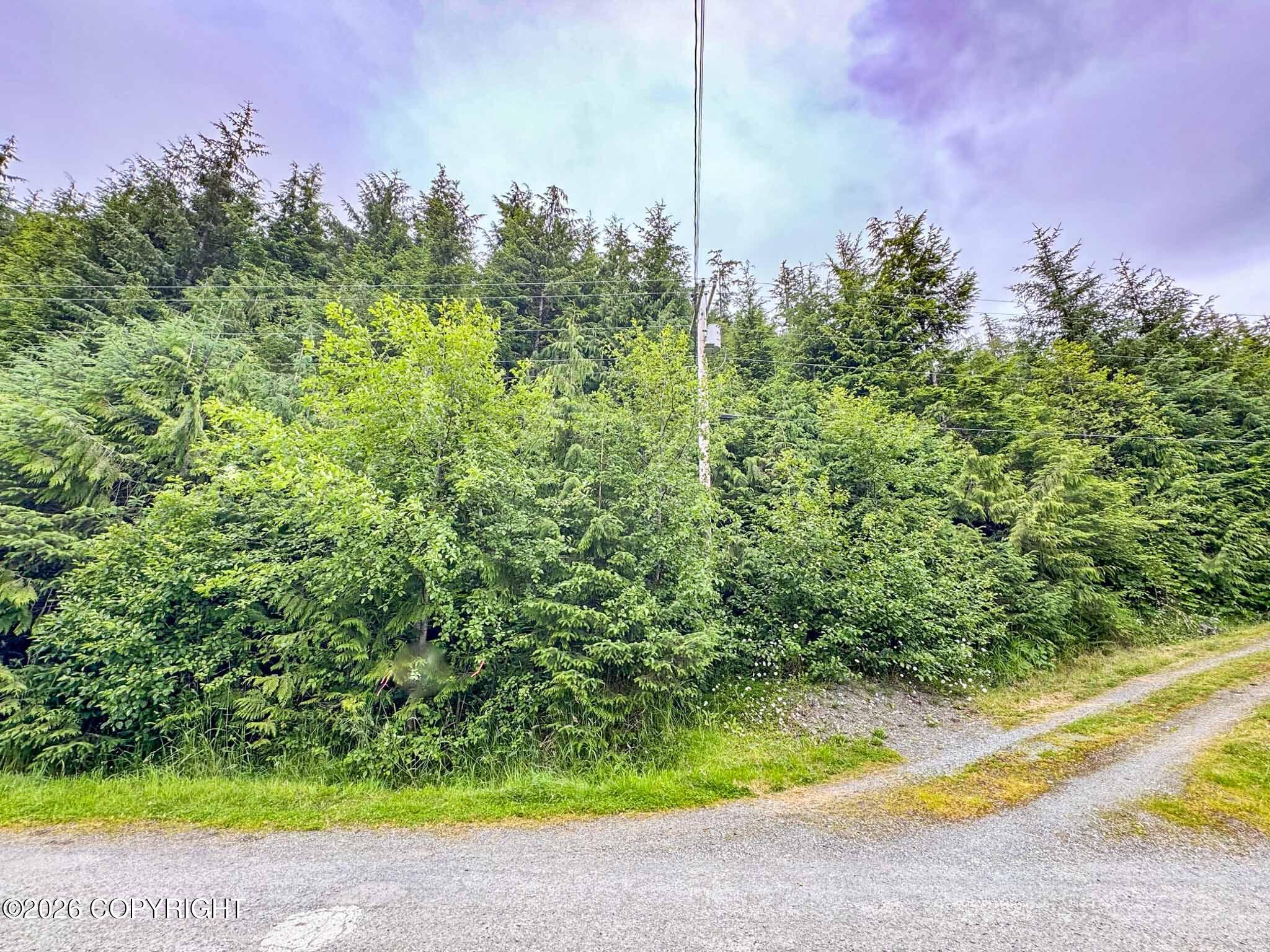 Lot Dc-5 Shoreline Drive Property Photo 3