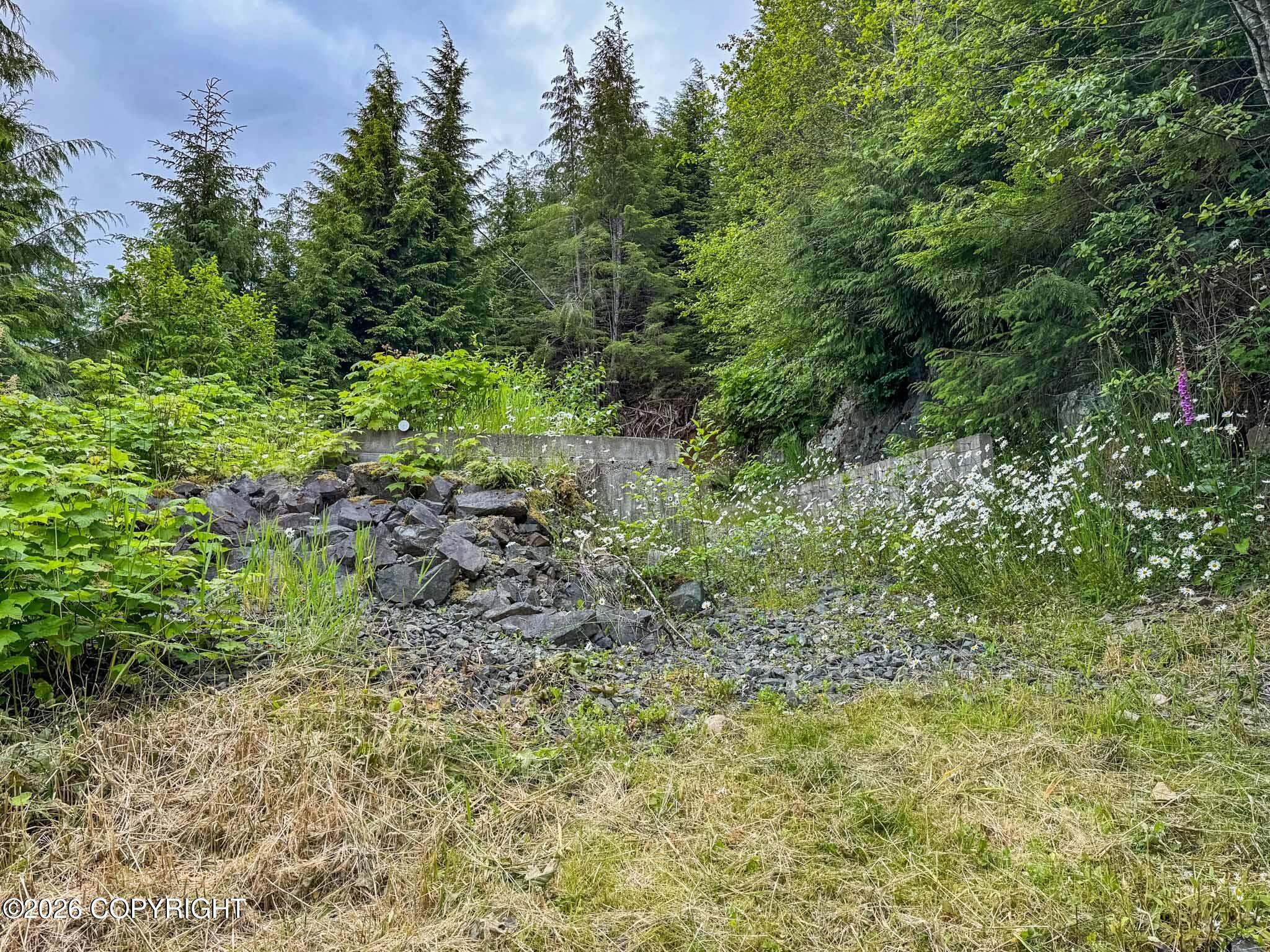 Lot Dc-5 Shoreline Drive Property Photo 4