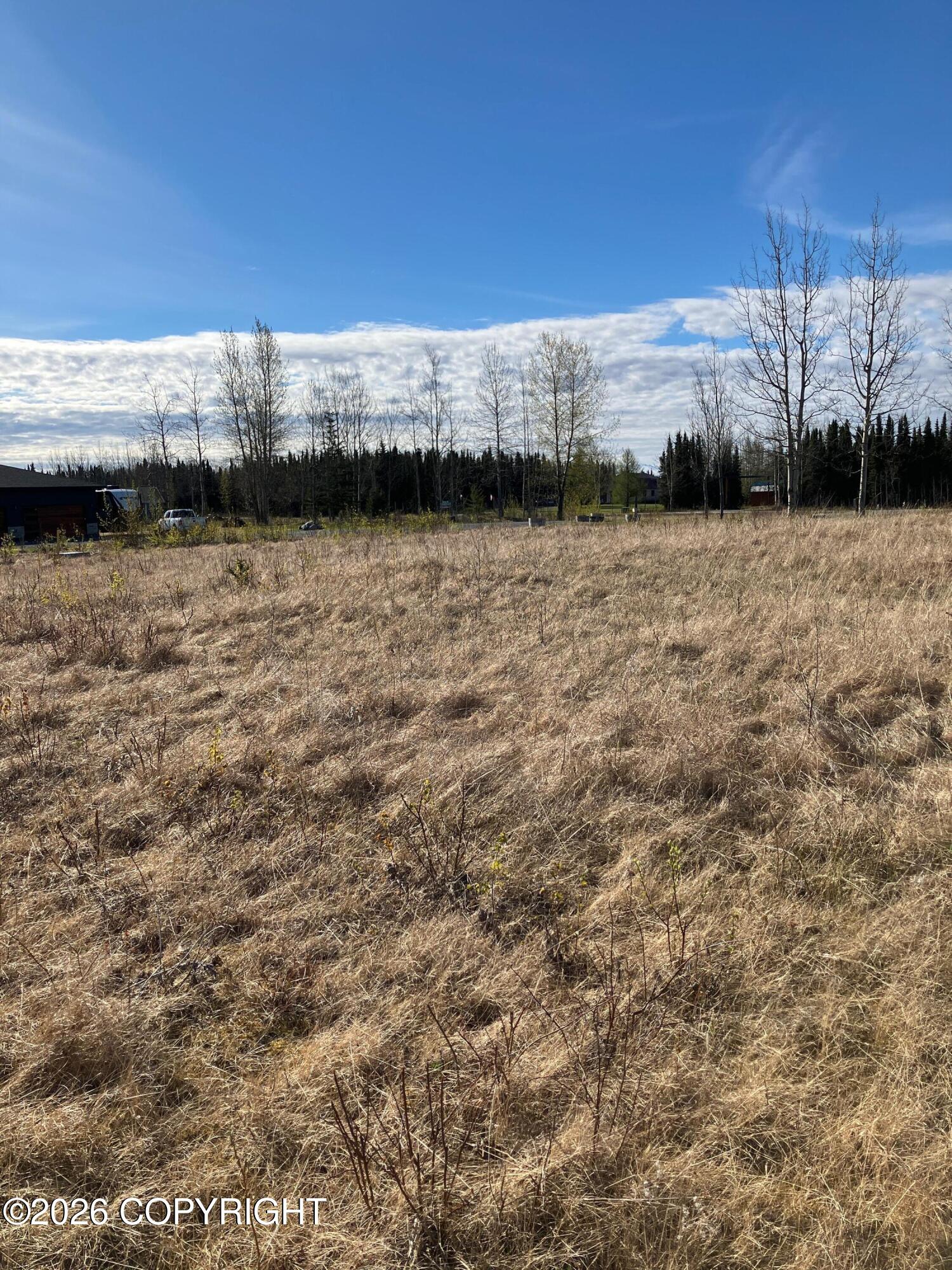 37782 Maule Circle Property Photo 4